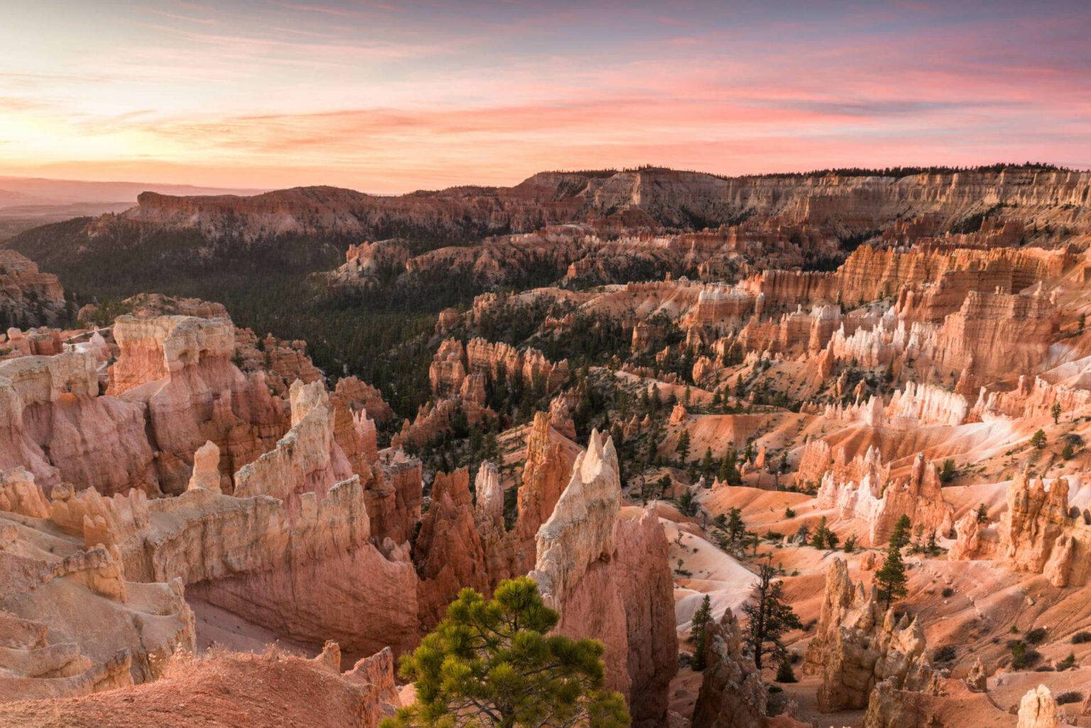 Der Bryce Canyon in Utah gehört dank seiner Felsformationen zu den schönsten Nationalparks der USA.