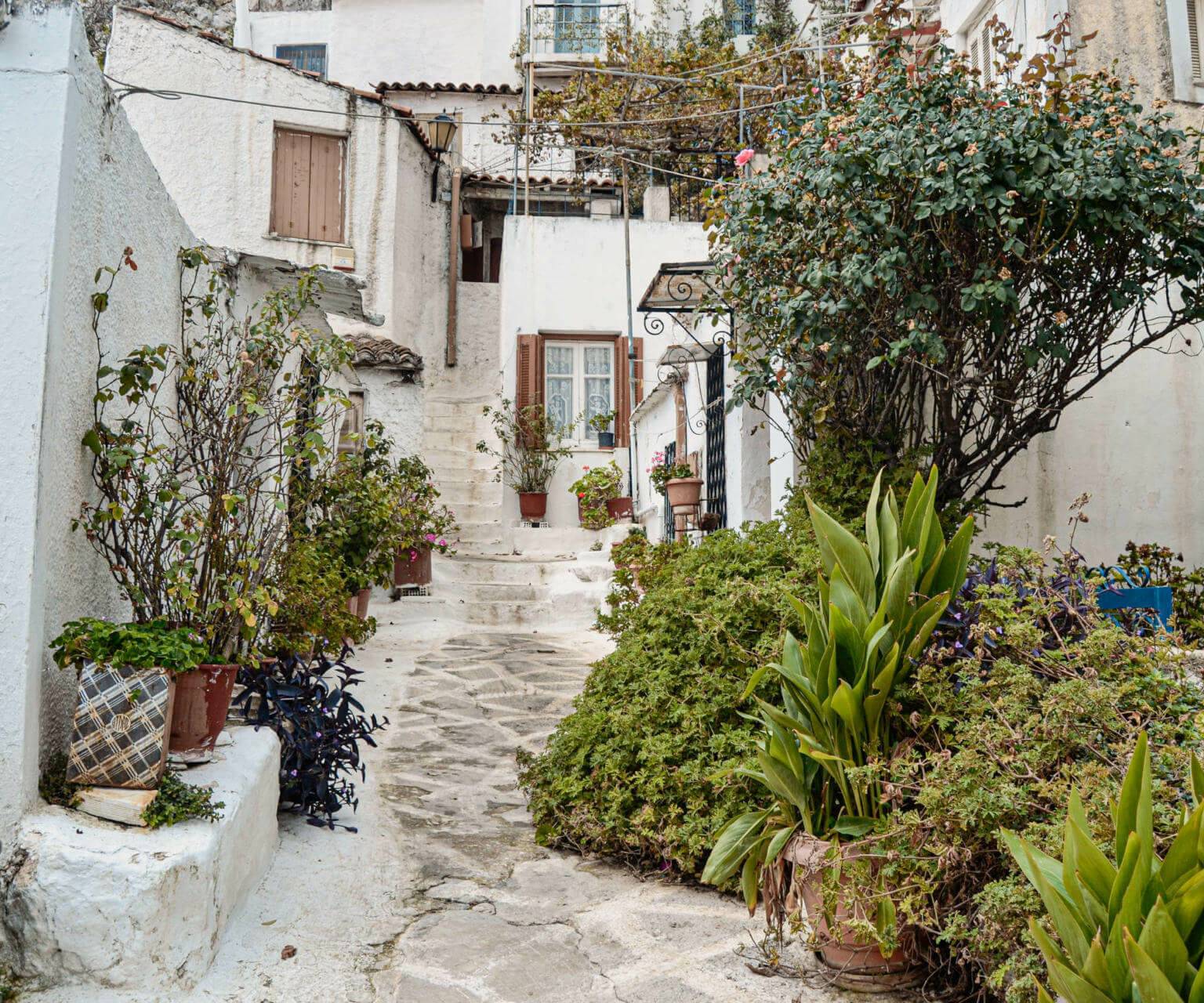 Enge, steile Gasse aus landestypischen, weiß gestrichenen Häusern mit grüner Bepflanzung in Athens Kykladendorf Anafiotika.