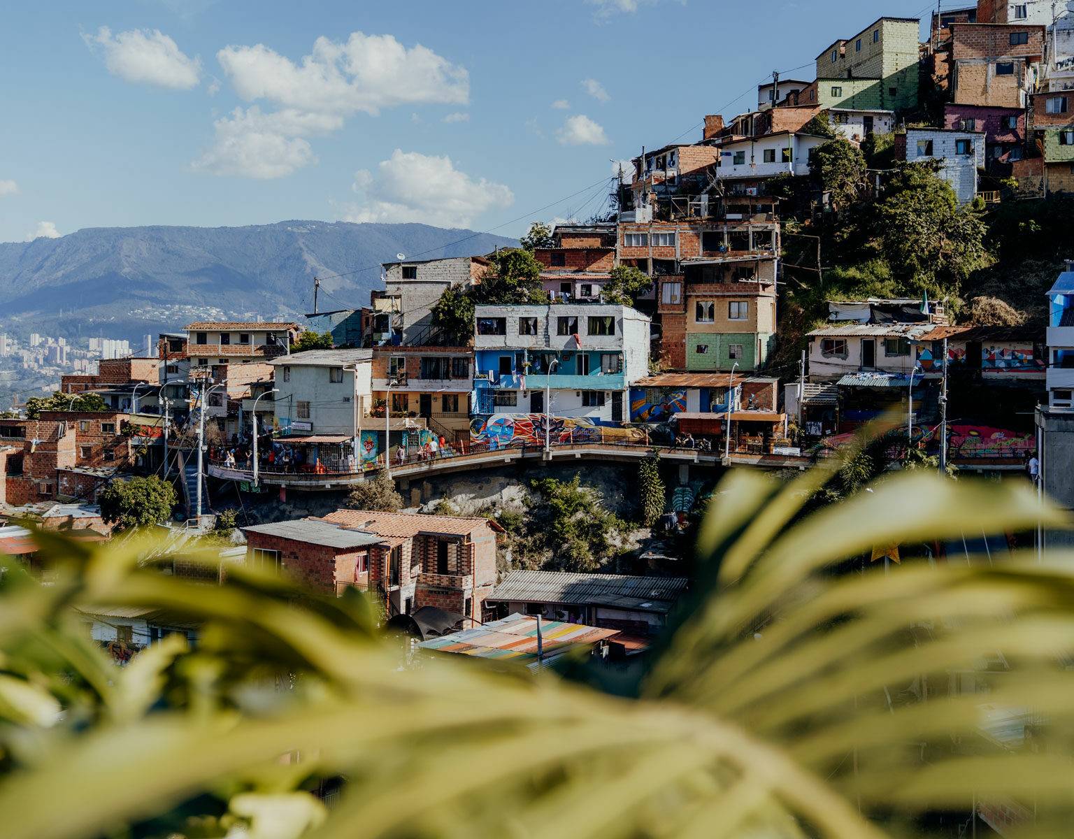 Durch Palmenblätter hindurch fällt der Ausblick auf die Comuna13, einen einst sehr berüchtigten Stadtteil von Medellin in Kolumbien.