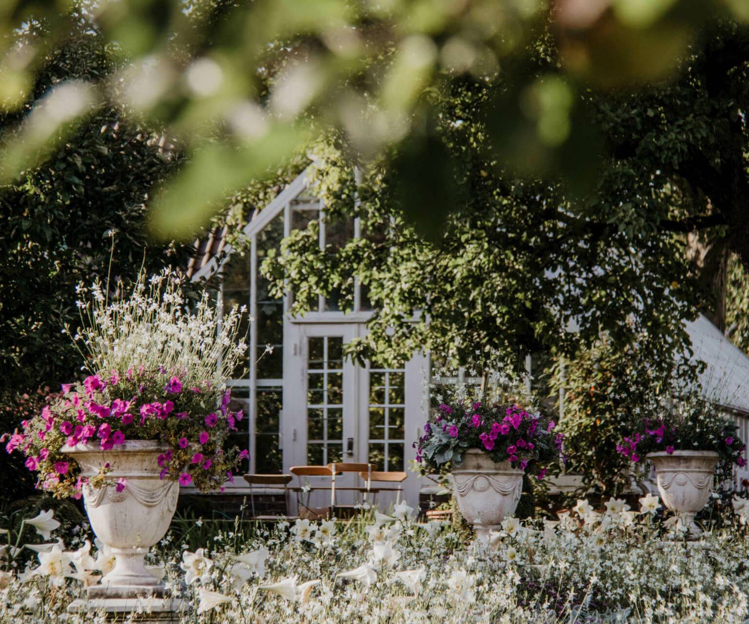 Ein weißes, elegantes Gartenhaus liegt versteckt hinter grünen Bäumen in einem Schlossgarten, davor stehen große Kübel mit rosaroten Blumen.