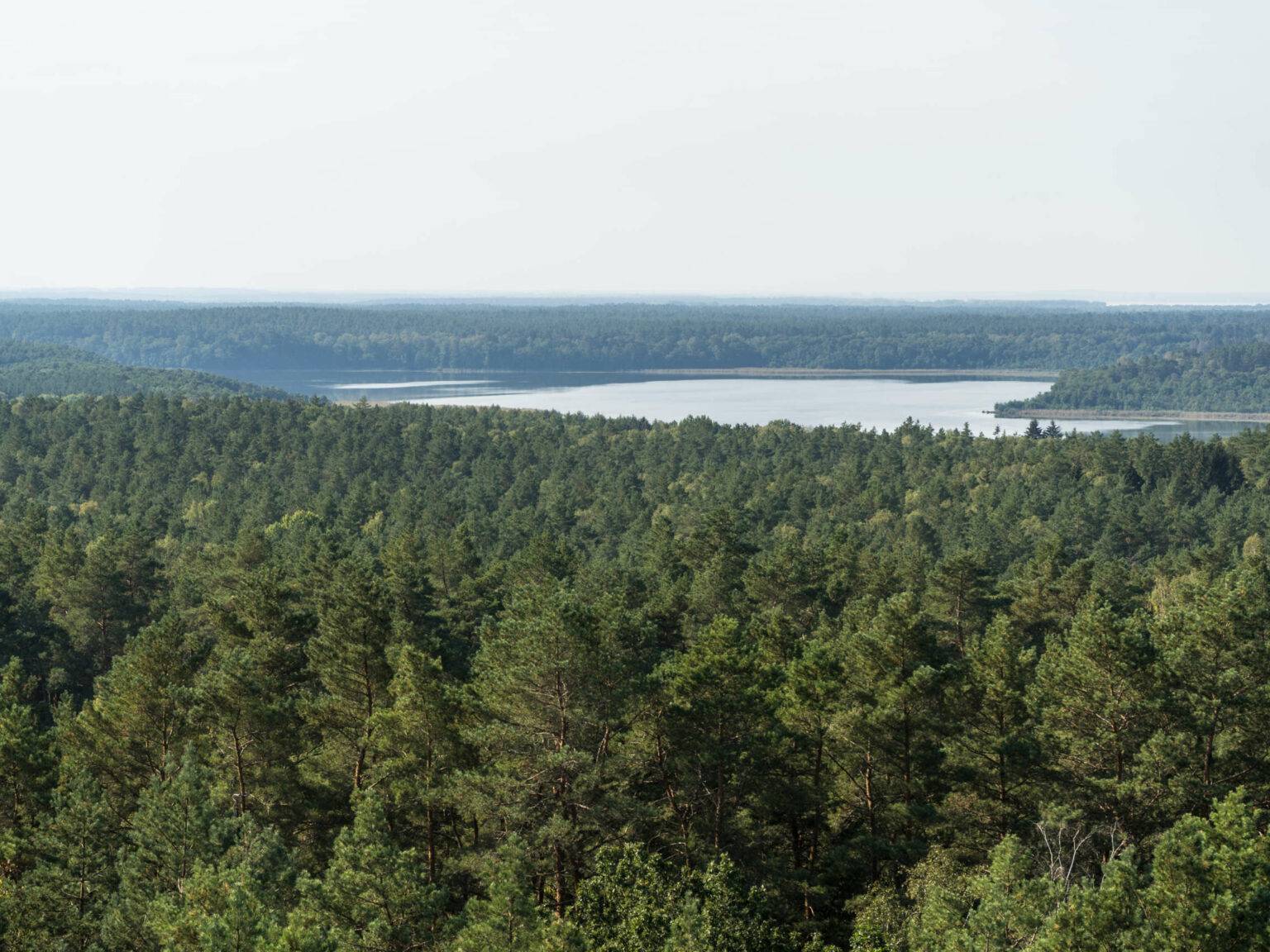 Über Wälder und Seen blickt man hinweg auf den Nationalpark Mecklenburgische Seenplatte.