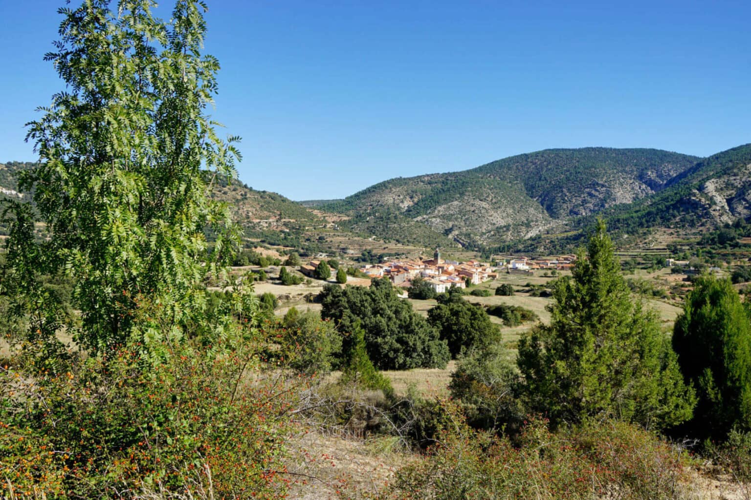 Blick auf das Dorf Puebla de San Miguel.