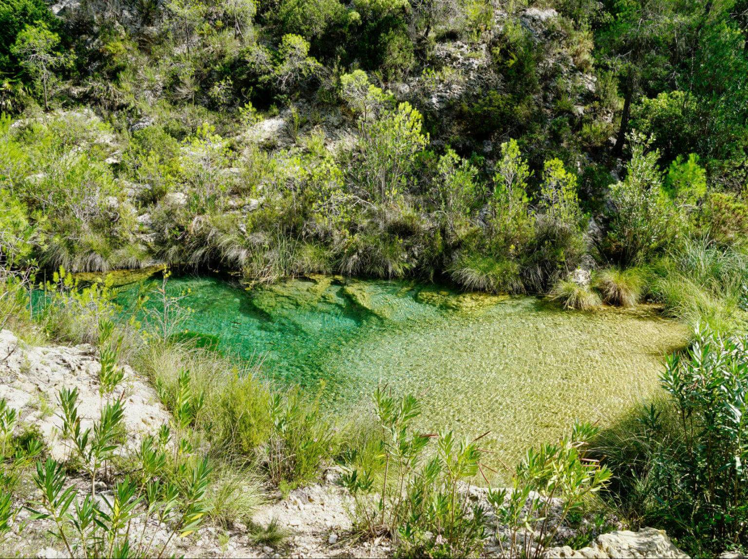 Ein grüner Naturpool am Río Cazuma in der Umgebung von Valencia - ein echter Geheimtipp zum Abkühlen nach dem Wandern.
