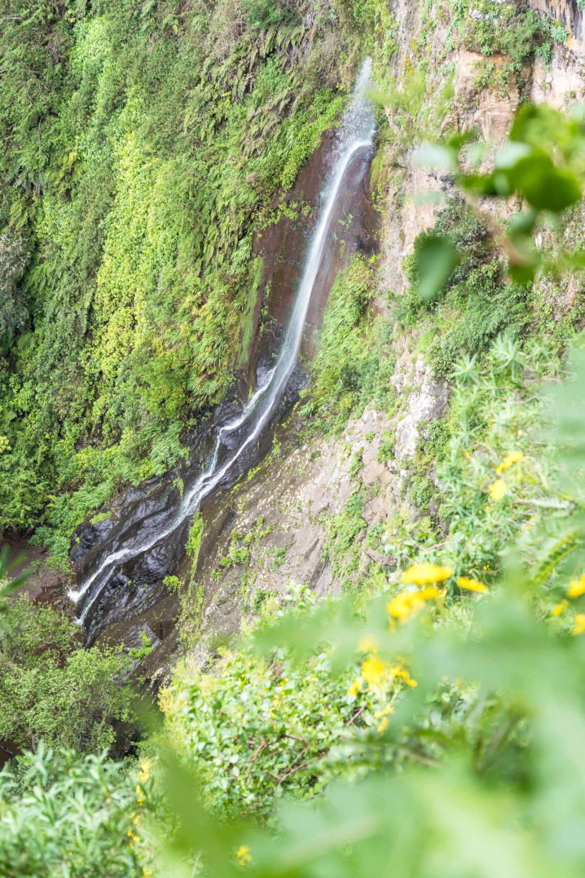 Ein Teil des Wasserfalls verschwindet zwischen Büschen.