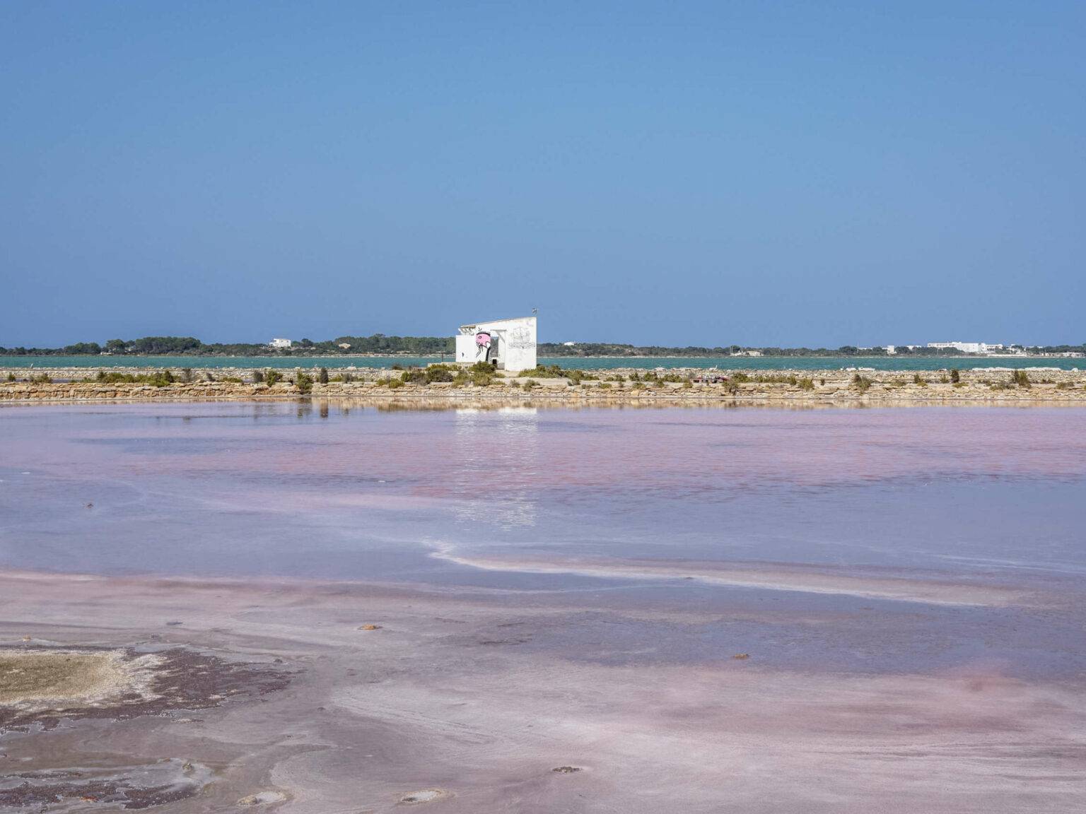 Ein echter Geheimtipp auf Formentera sind die Salinenfelder - das pinke Wasser ist ein Überbleibsel der Salzproduktion.