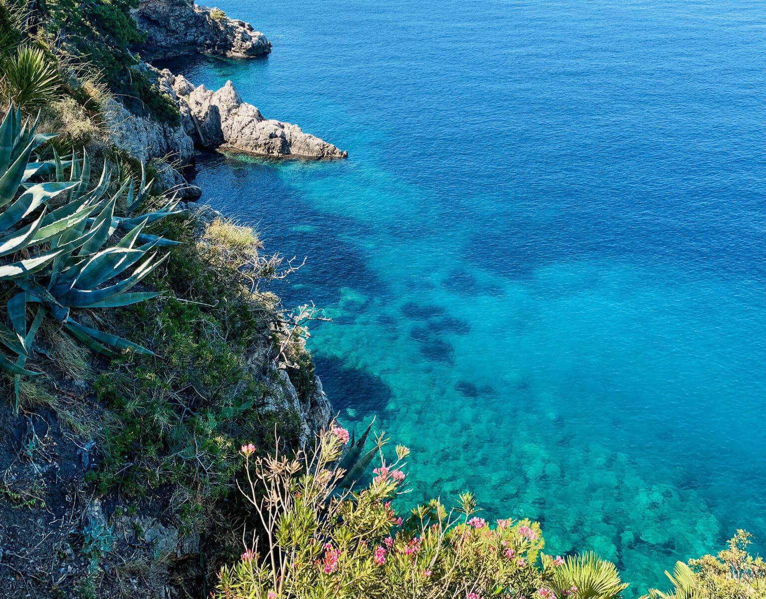 Die Steilküste der Adria eröffnet beeindrucke Ausblicke auf die grüne Vegetation, u.a. eine große Argavenpflanze und das darunterliegende glasklare Wasser.
