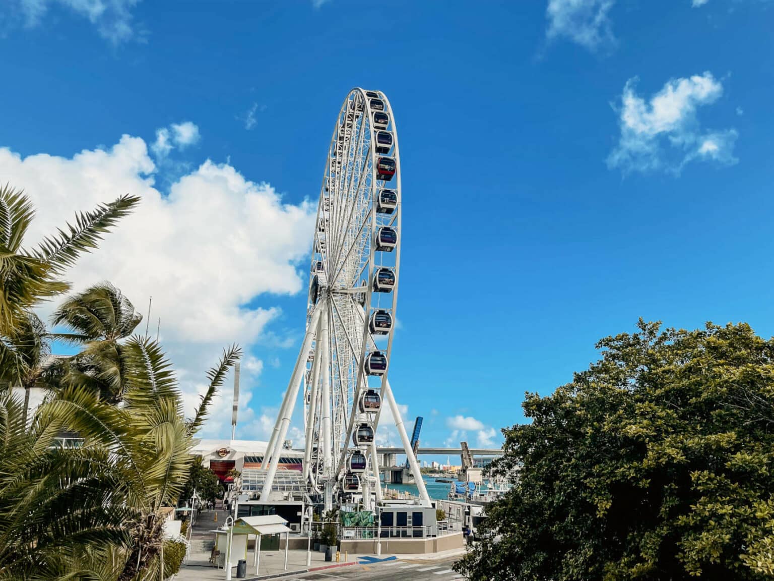 Für einen spektakulären Blick über Miami lohnt sich die Fahrt mit dem Skyviews Observation Wheel.