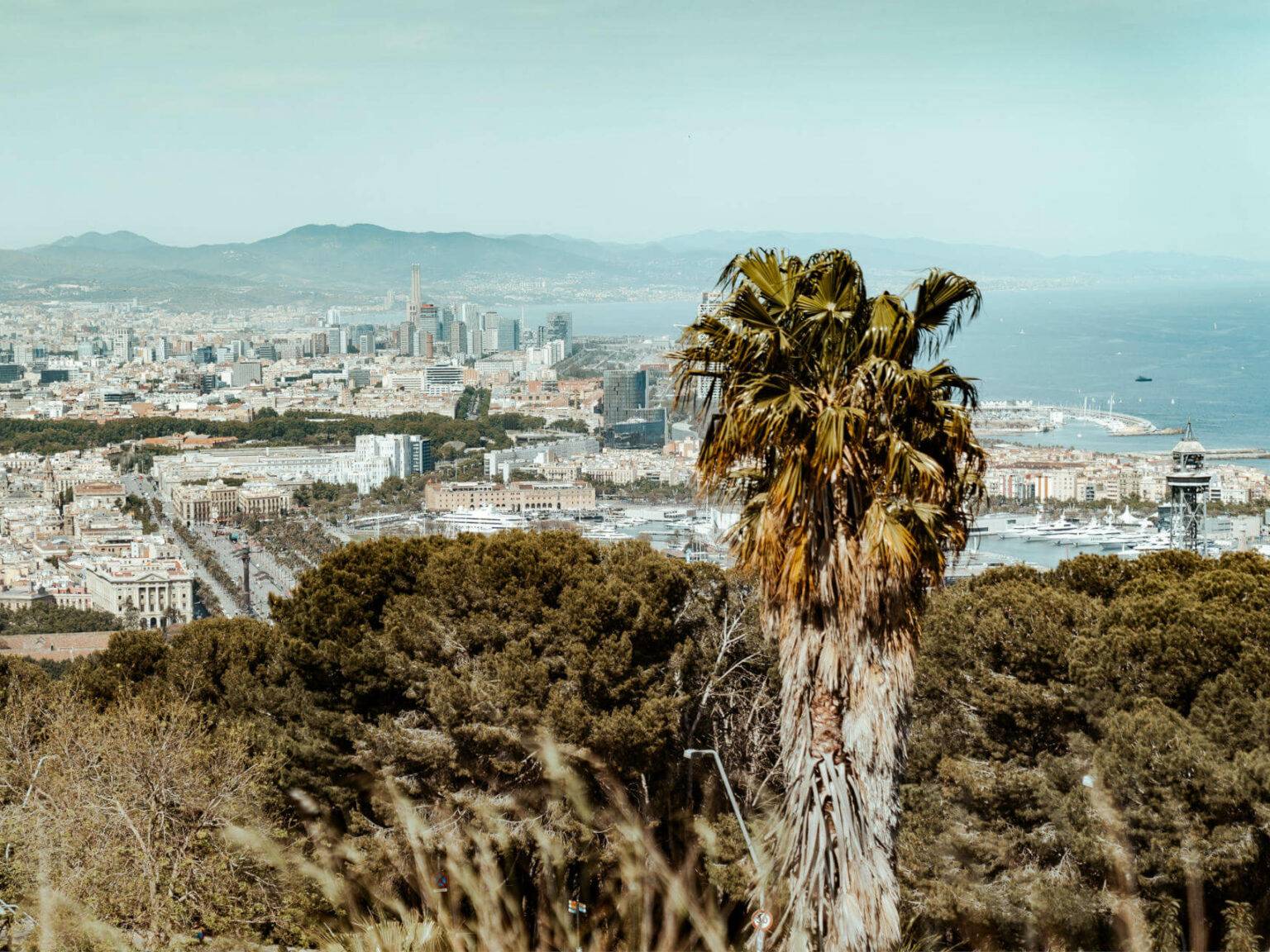 Das Castell de Montjuïc wirkt zwar verlassen, ist mit seiner wunderschönen Aussicht über die Stadt und das Meer aber ein echter Geheimtipp.