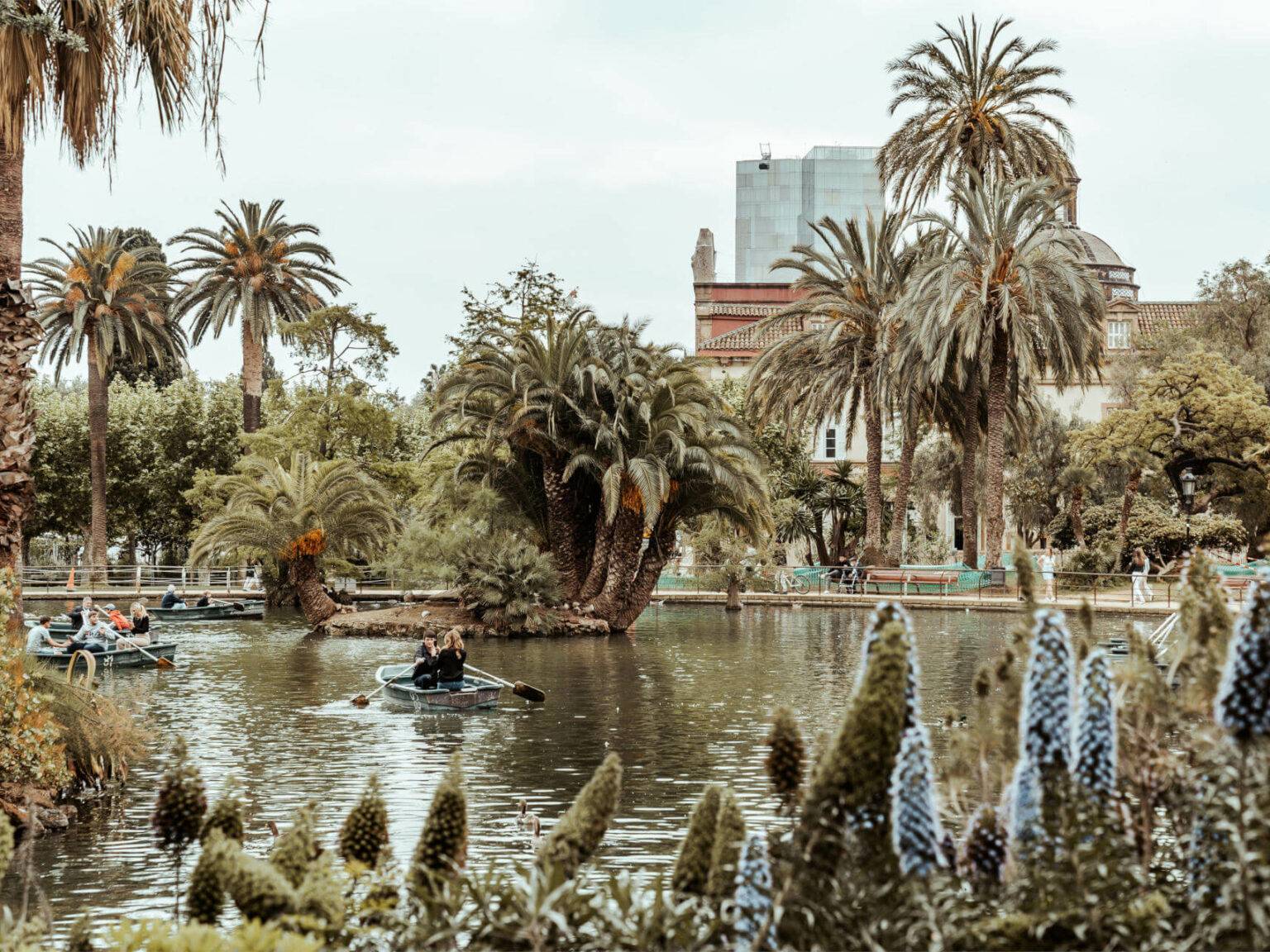 Für eine entspannte Pause in Barcelona kann man im Parc de la Ciutadella auf einem der Ruderboote zwischen Palmen entspannen.