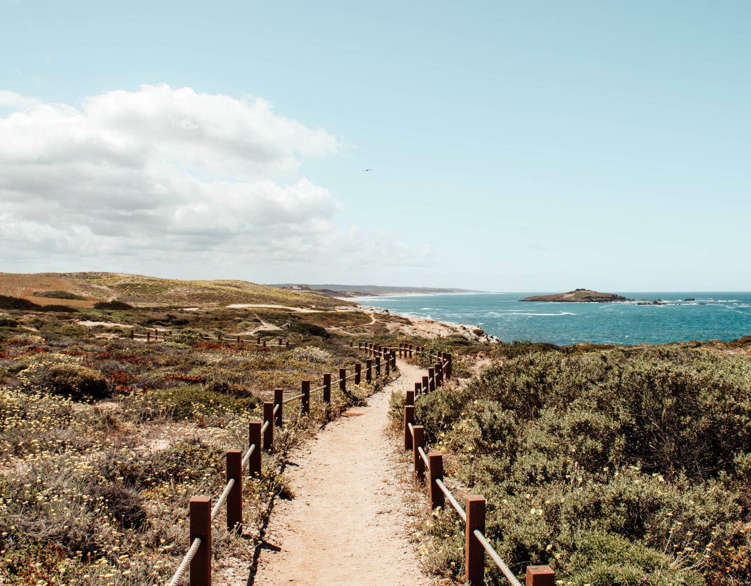 Ein Wanderweg entlang des portugiesischen Meeres
