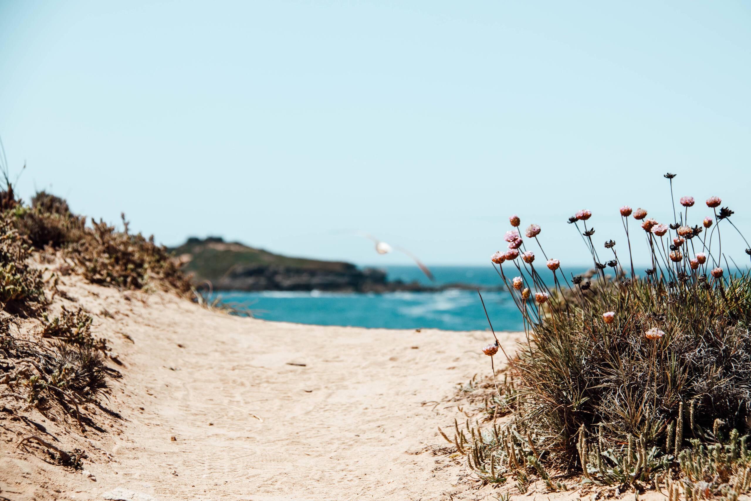 Ein beigefarbener Sandstrand hin im Alentejo Gebiert zum türkis blauen Meer
