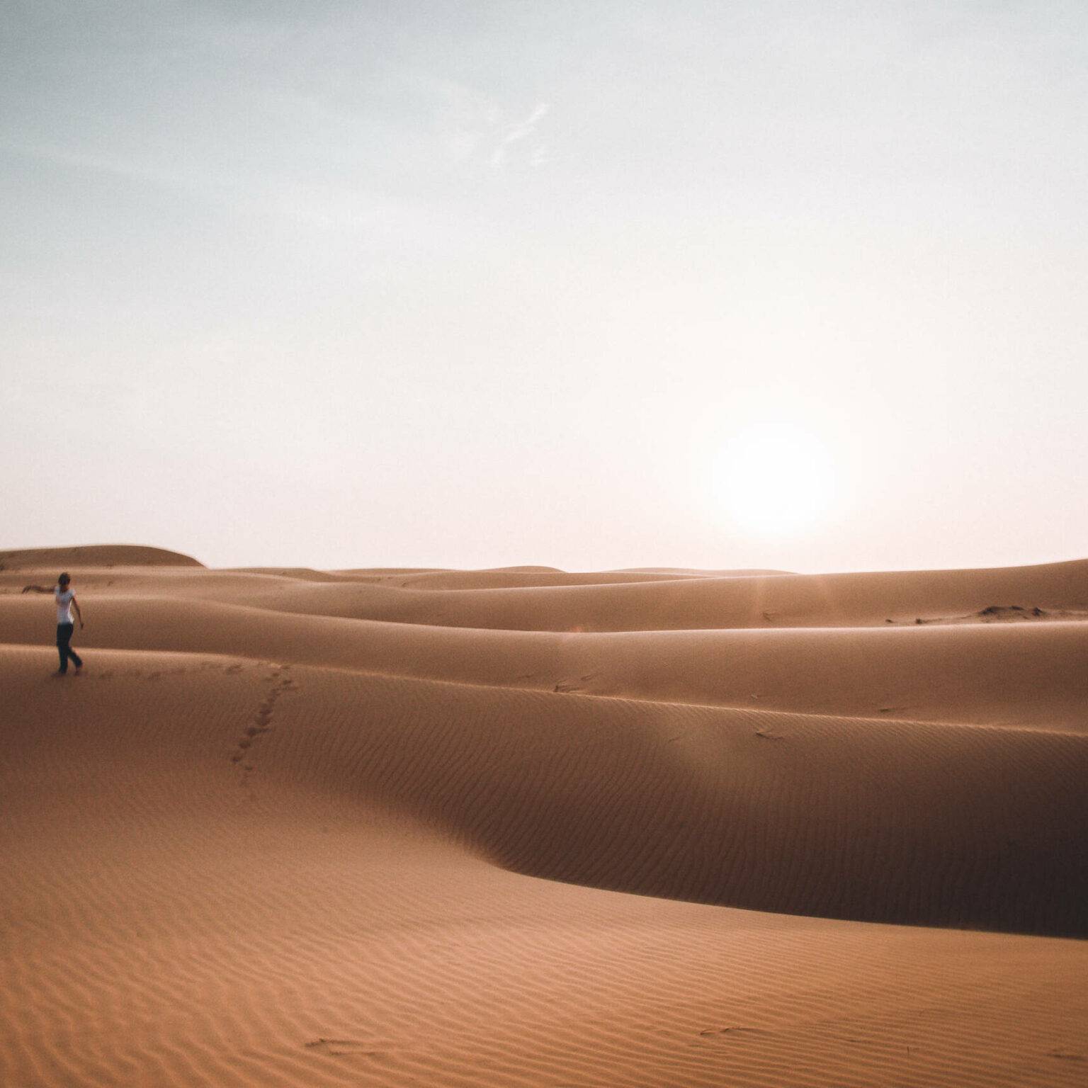 Eine trockene Sandwüste erstreckt sich bis zum Horizont, wo die Sonne untergeht