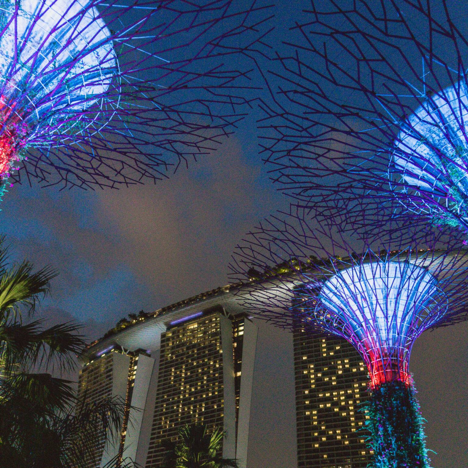 Künstlich erbaute Bäume, die in der Nacht in bunten Lichtern leuchten - die "Supertrees" in Singapur.