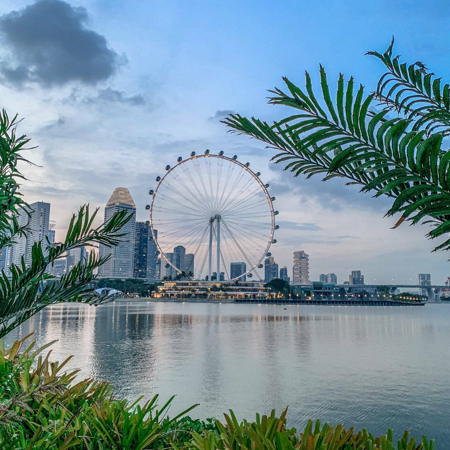 Palmenblätter im Vordergrund des dritthöchste Riesenrad der Welt "Singapore Flyer".