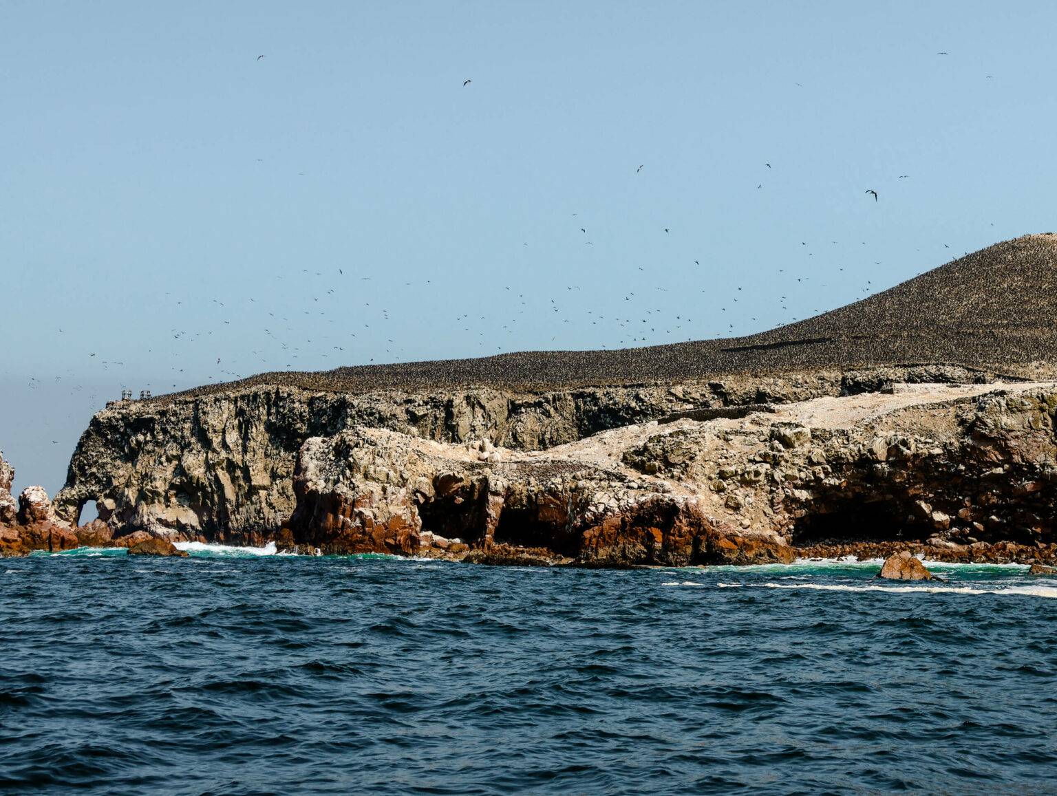Bei einem Bootsausflug zu den Ballestas Islands kannst du zahlreiche Seevögel, Seelöwen und Humboldt-Pinguine sehen.
