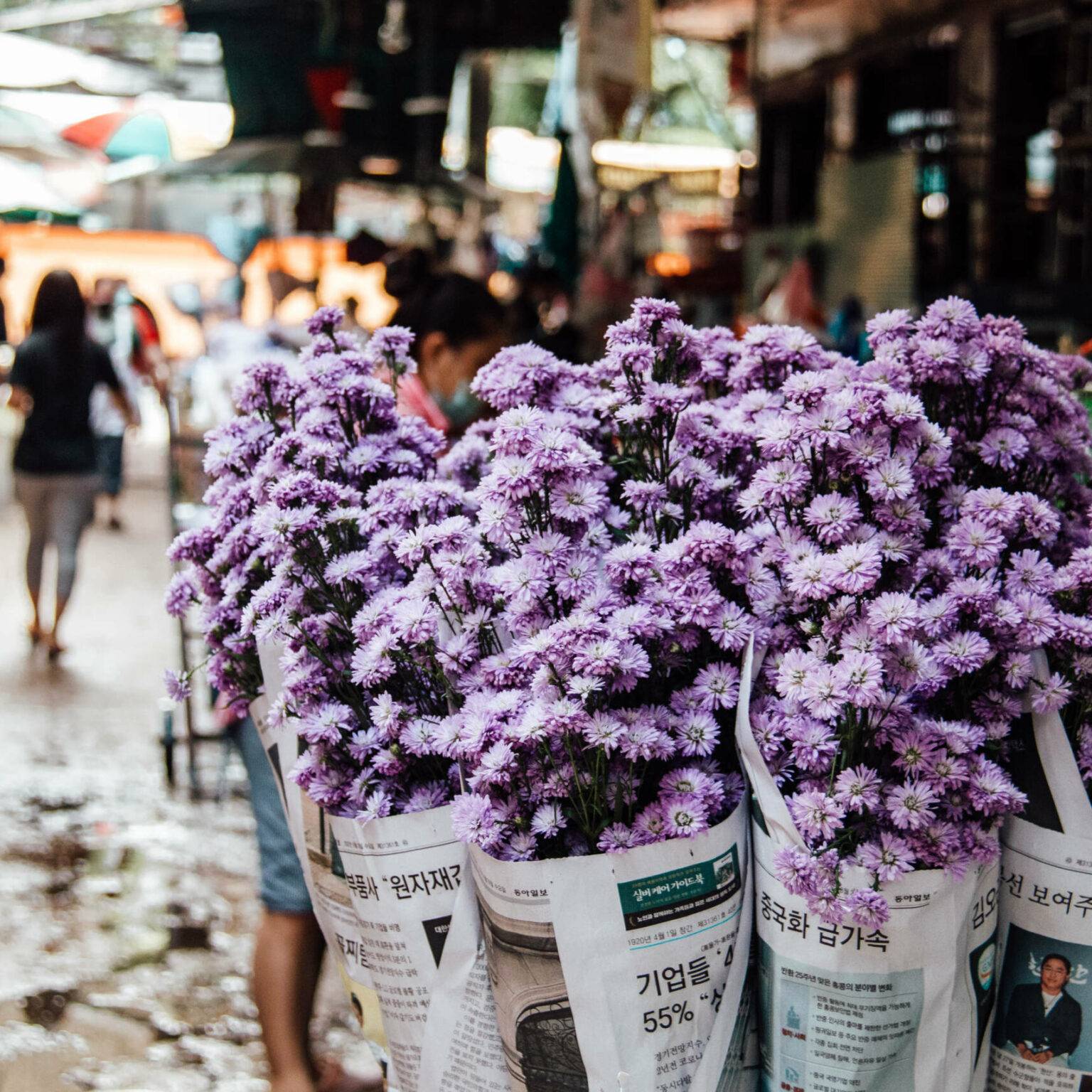 Lilafarbene Blumen in Zeitungspapier eingewickelt auf einem Markt in Bangkok.