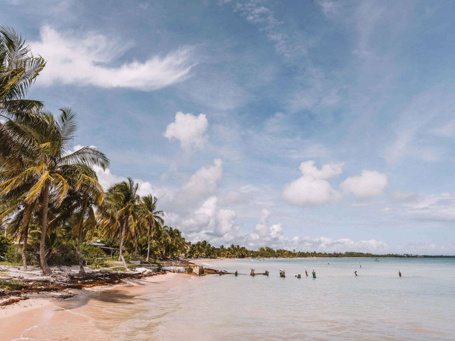 Palmen reihen sich am Strand des Fischerdorfs Punta Allen auf Yucatan aneinander.
