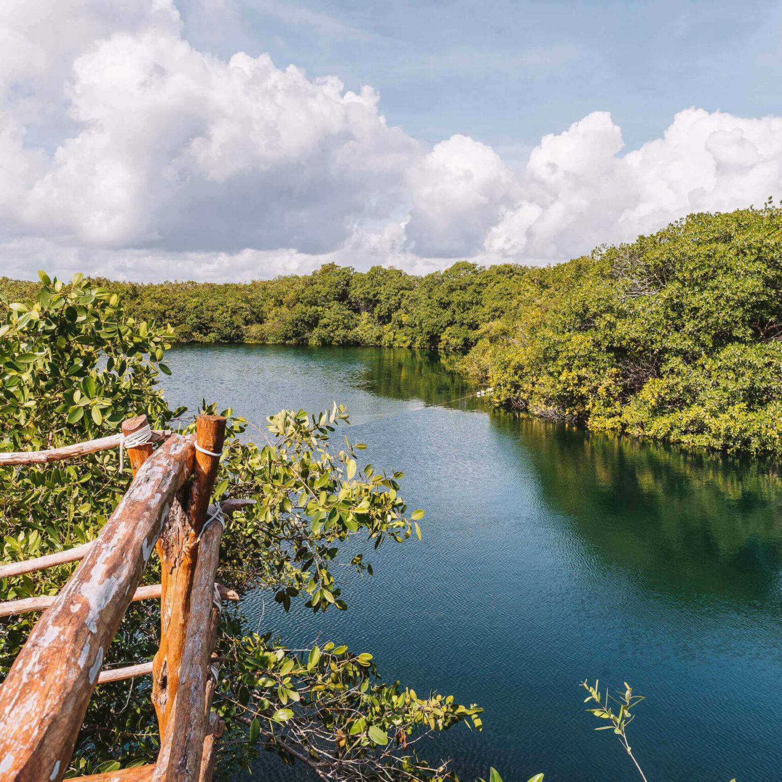 Das tiefblaue Wasser der Cenote Encantado lädt zum Schwimmen zwischen Bäumen ein.