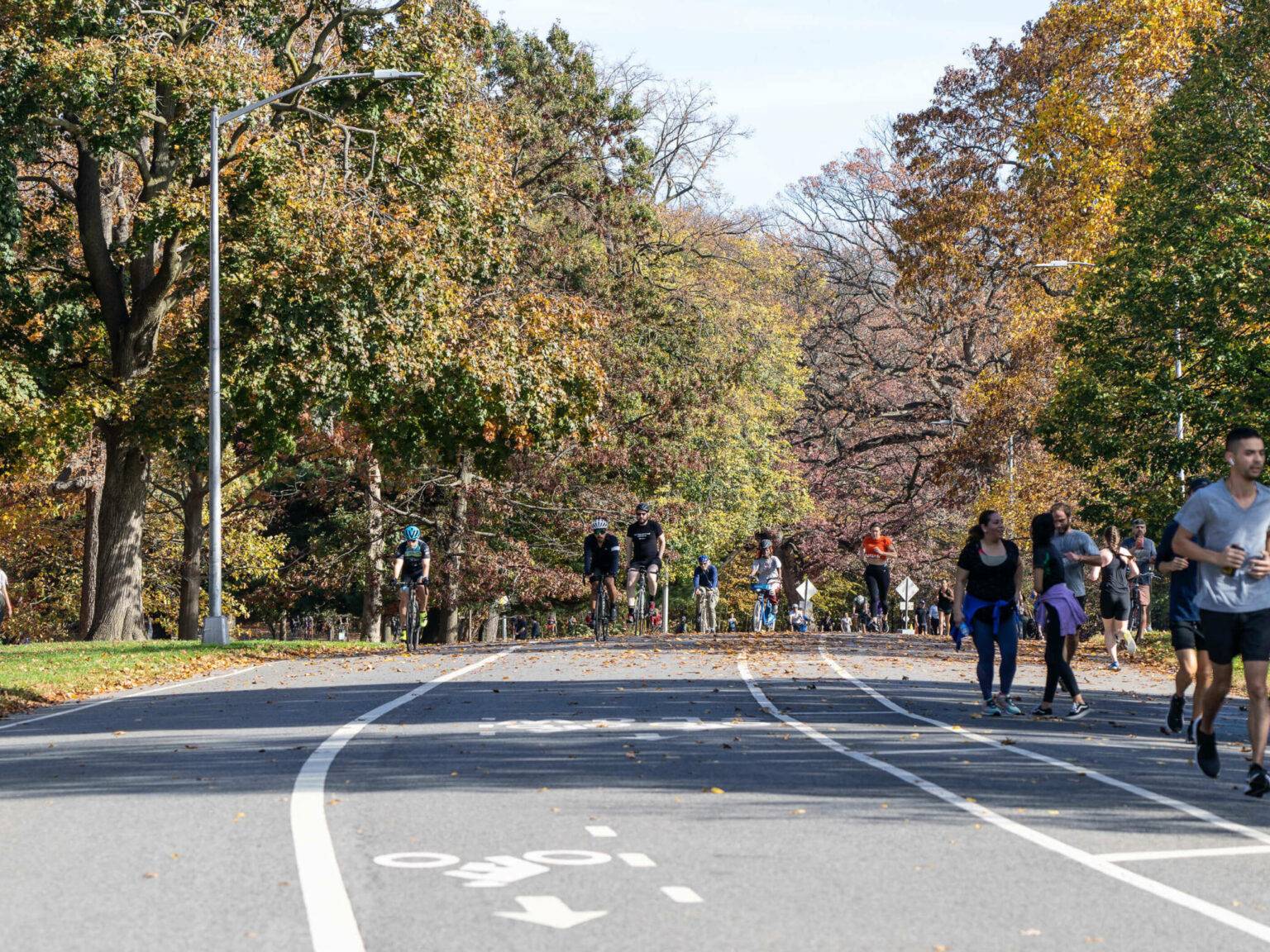 Jogger und Radler bewegen sich auf gepflastertem Weg durch den Prospect Park in Park Slope, Brooklyn.