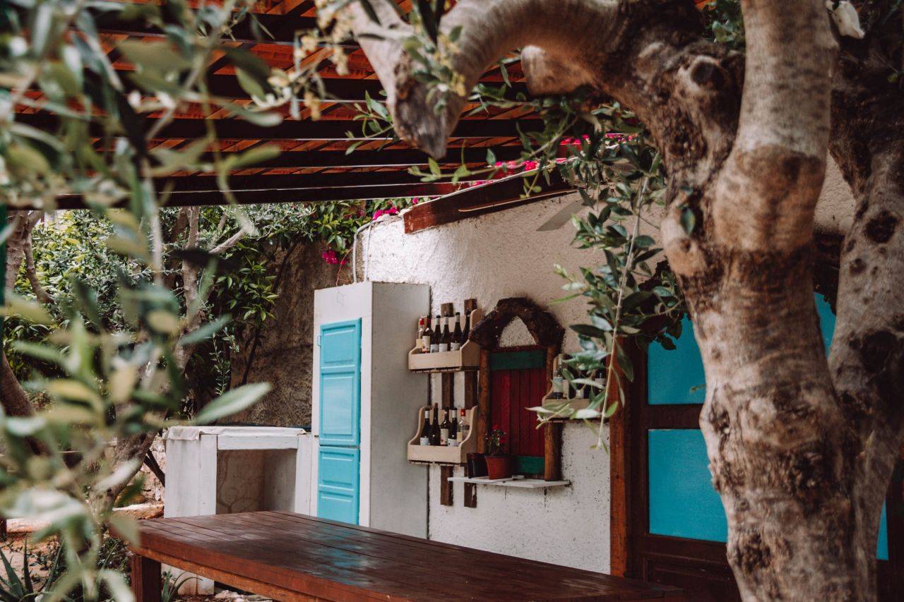 Durch einen Olivenbaum erblickt man einen Holztisch und ein Regal mit Flaschen auf der Cretan Olive Farm auf Kreta.