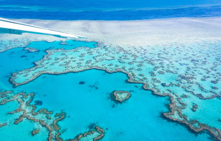 Das Heart Reef in Queensland aus dem Flugzeug mit türkisblauem und klarem Meer.