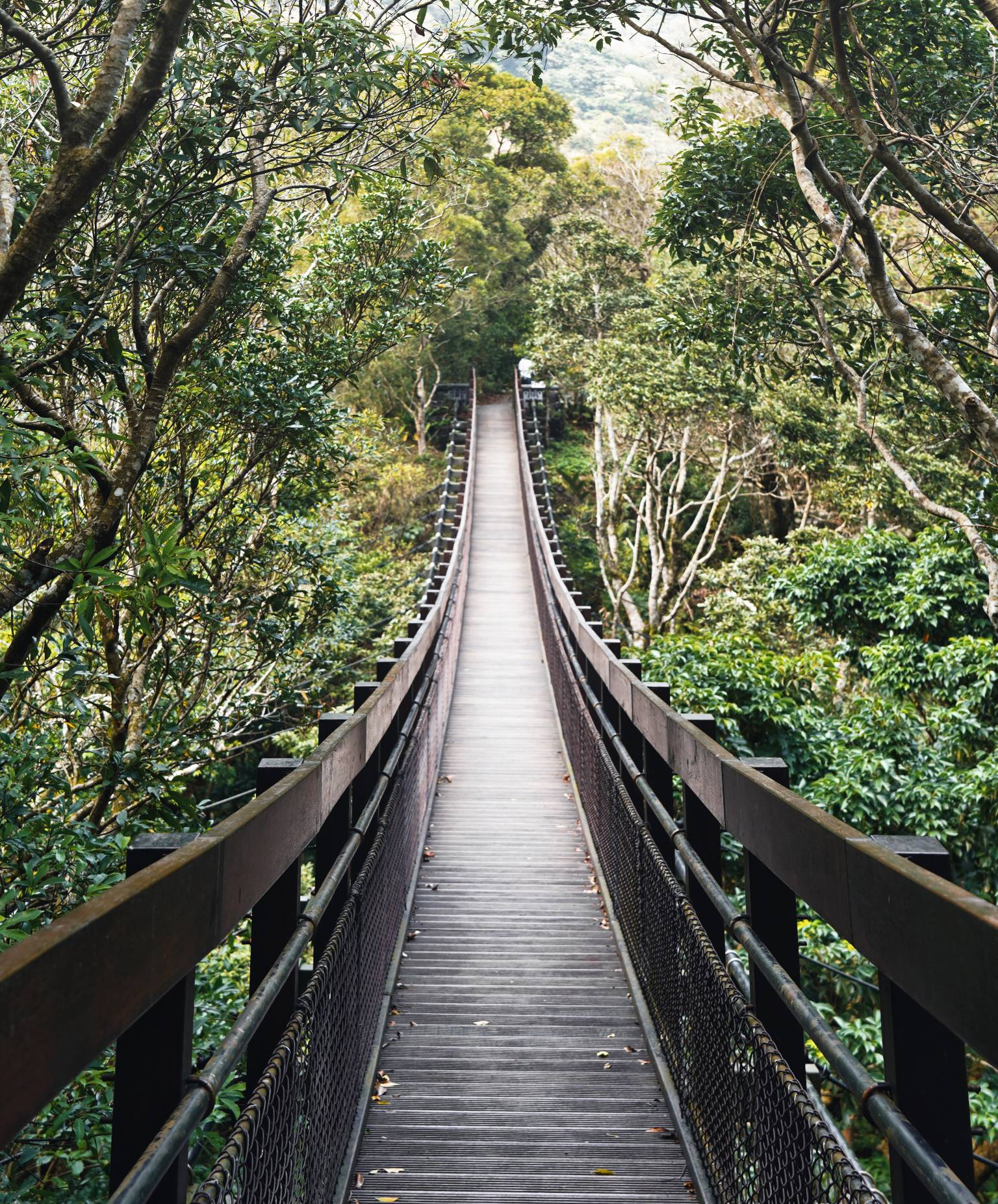 Geheimtipp: Die Shuangliu National Forest Recreation Area bietet herrliche Wanderwege in Taiwans Natur. 