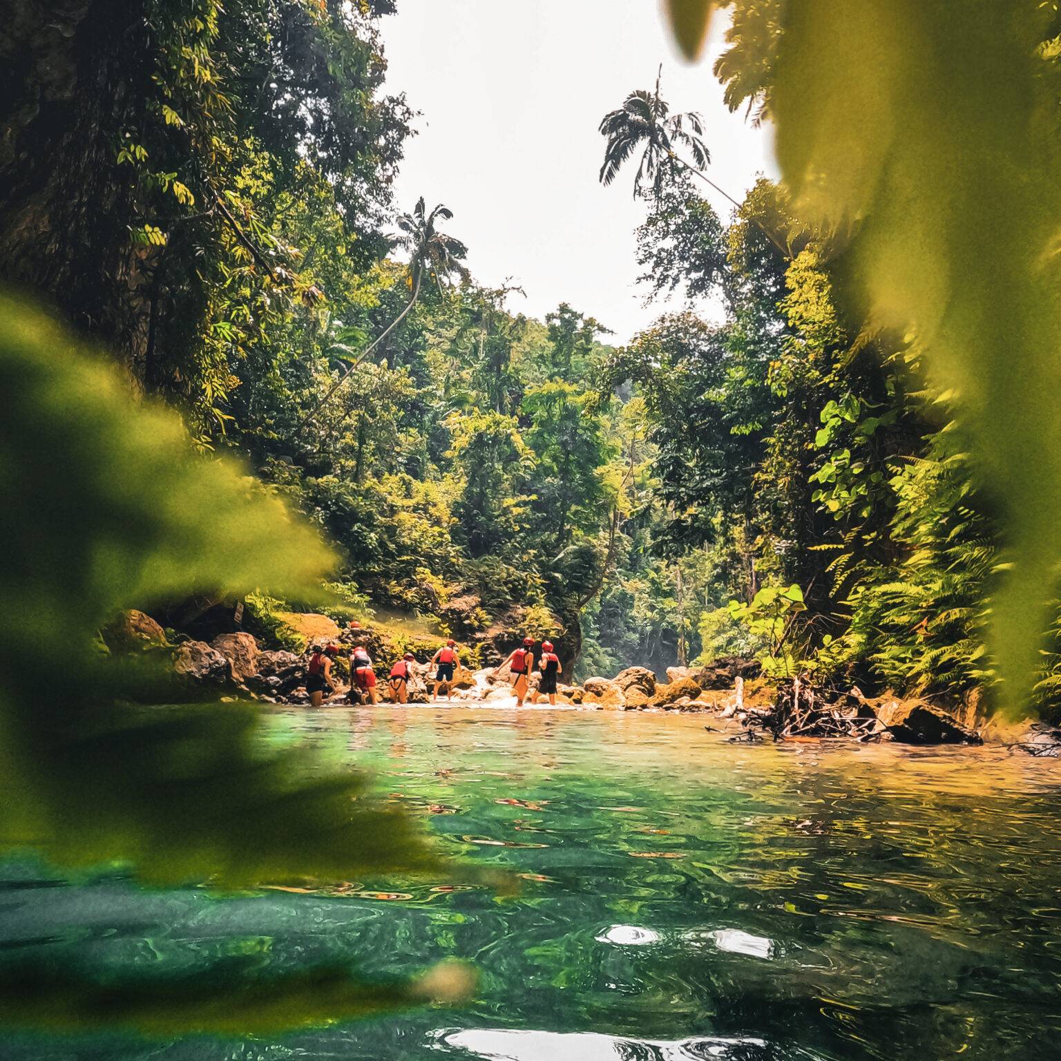 Menschen gehen durchs Wasser umgeben von wundervoller grüner Natur.