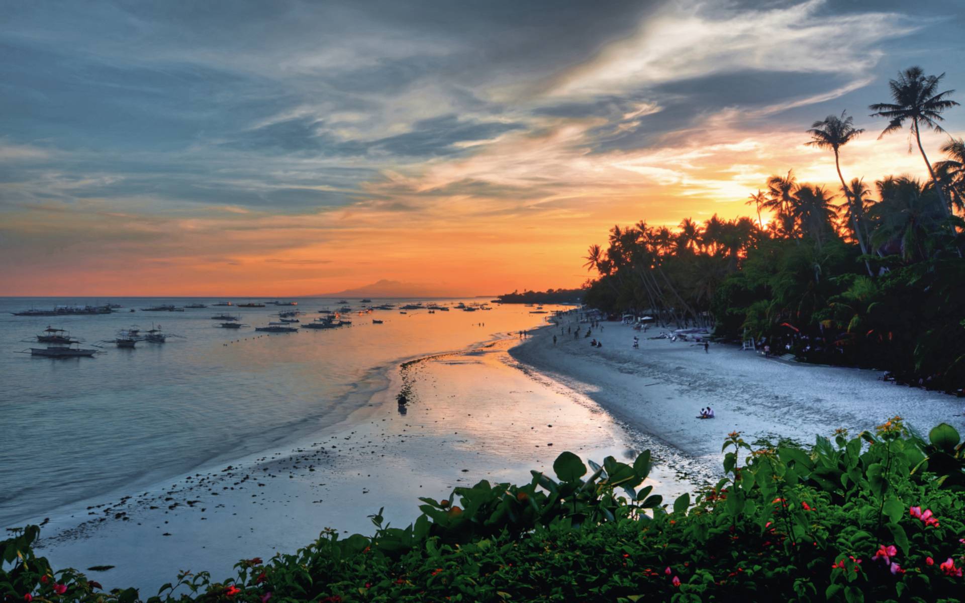 Bohol: Ein tropisches Paradies für Naturliebhaber