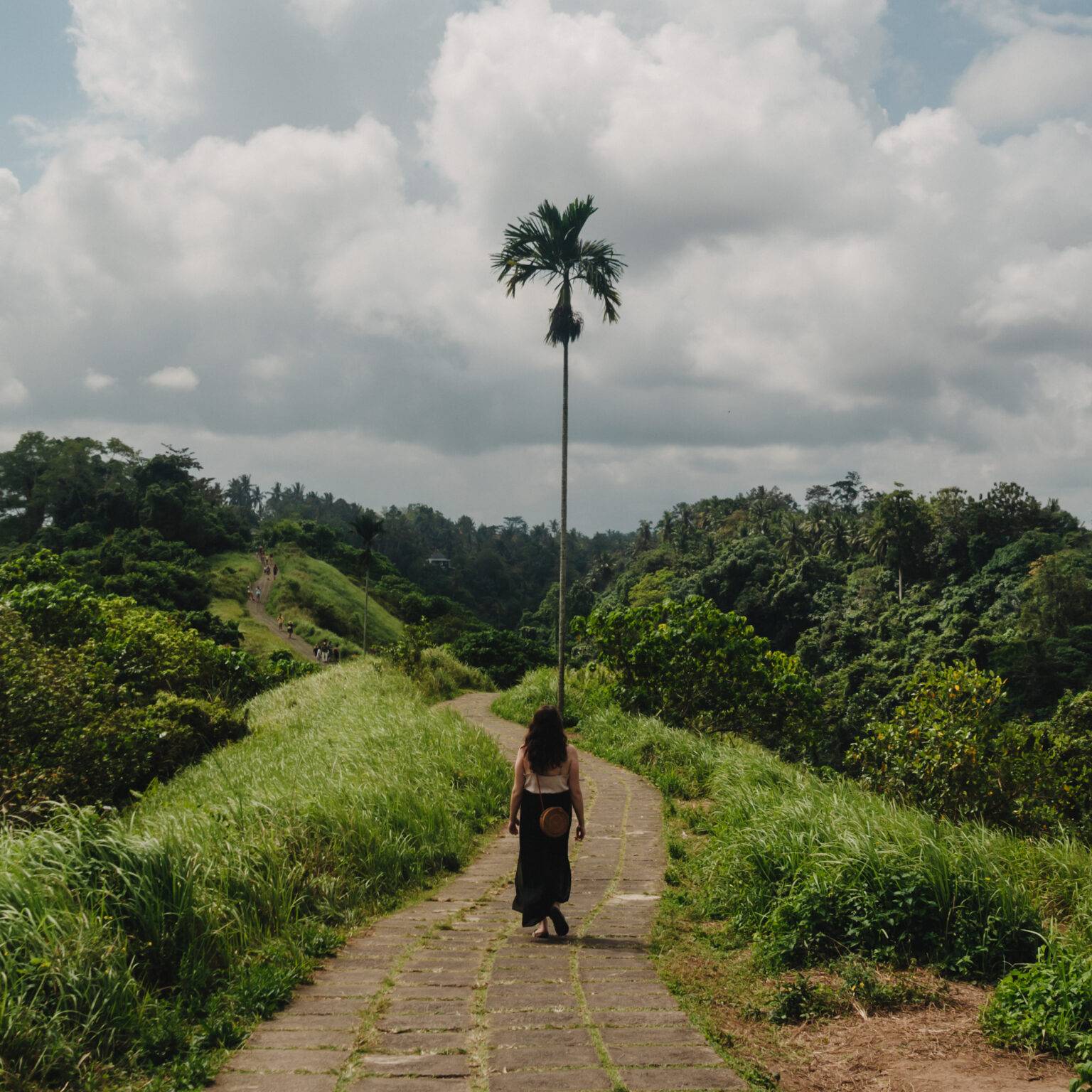 Reisebloggerin Laura von Wanders of Manao läuft den Campuhan Ridge Walk bei Ubud entlang, den Weg zieren Reisfelder und Palmen.