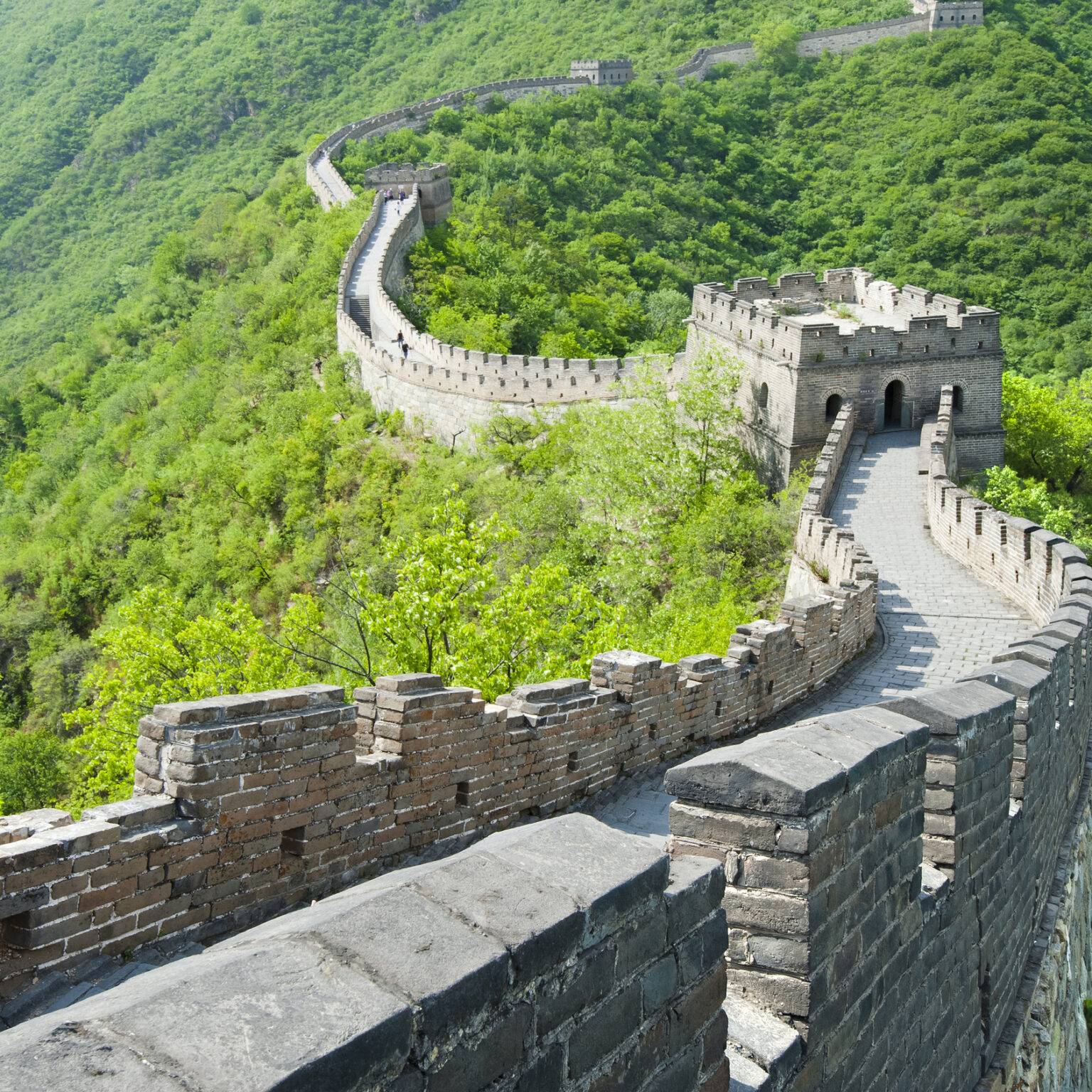 Die chinesische Mauer schlaengelt sich durch den Wald.