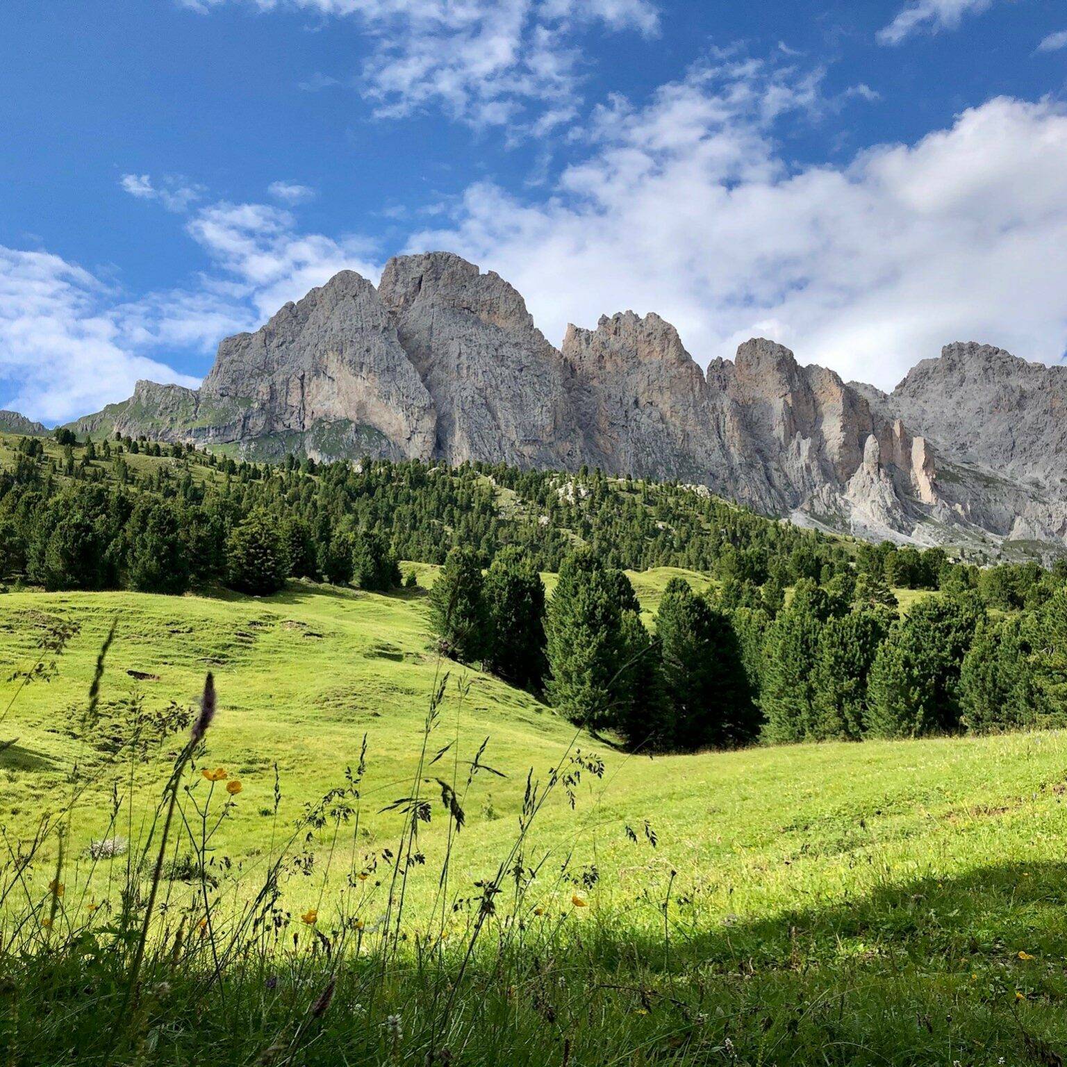 Saftig grüne Wiesenhänge umgeben die schroffen Bergspitzen im Naturpark Puez-Geisler in Südtirol.