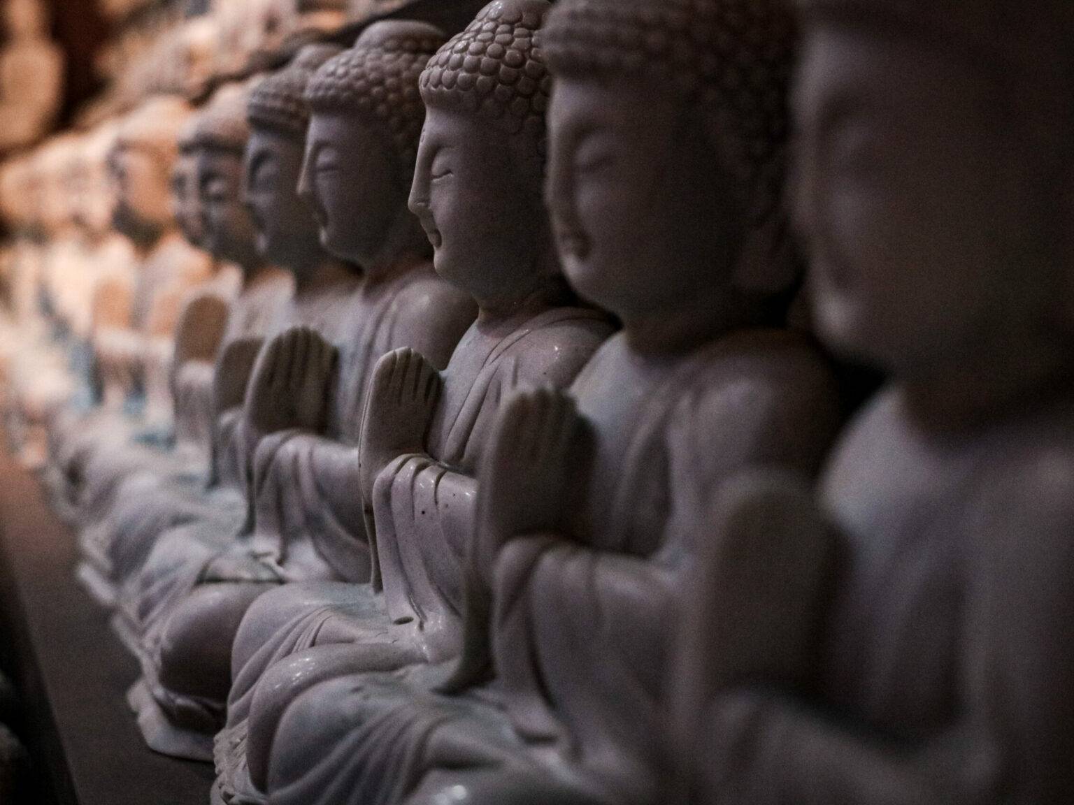 Mehrere Buddha-Statuen sitzen aneinandergereiht.