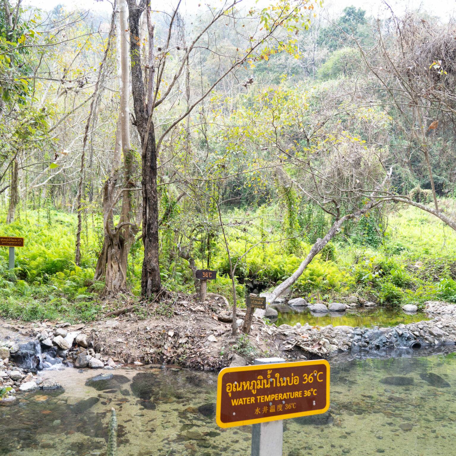 Mitten im Dschungel gelegen, liegen die Ta Pai Hot Springs – glasklare und an dieser Stelle 36 Grad warme Naturpools.