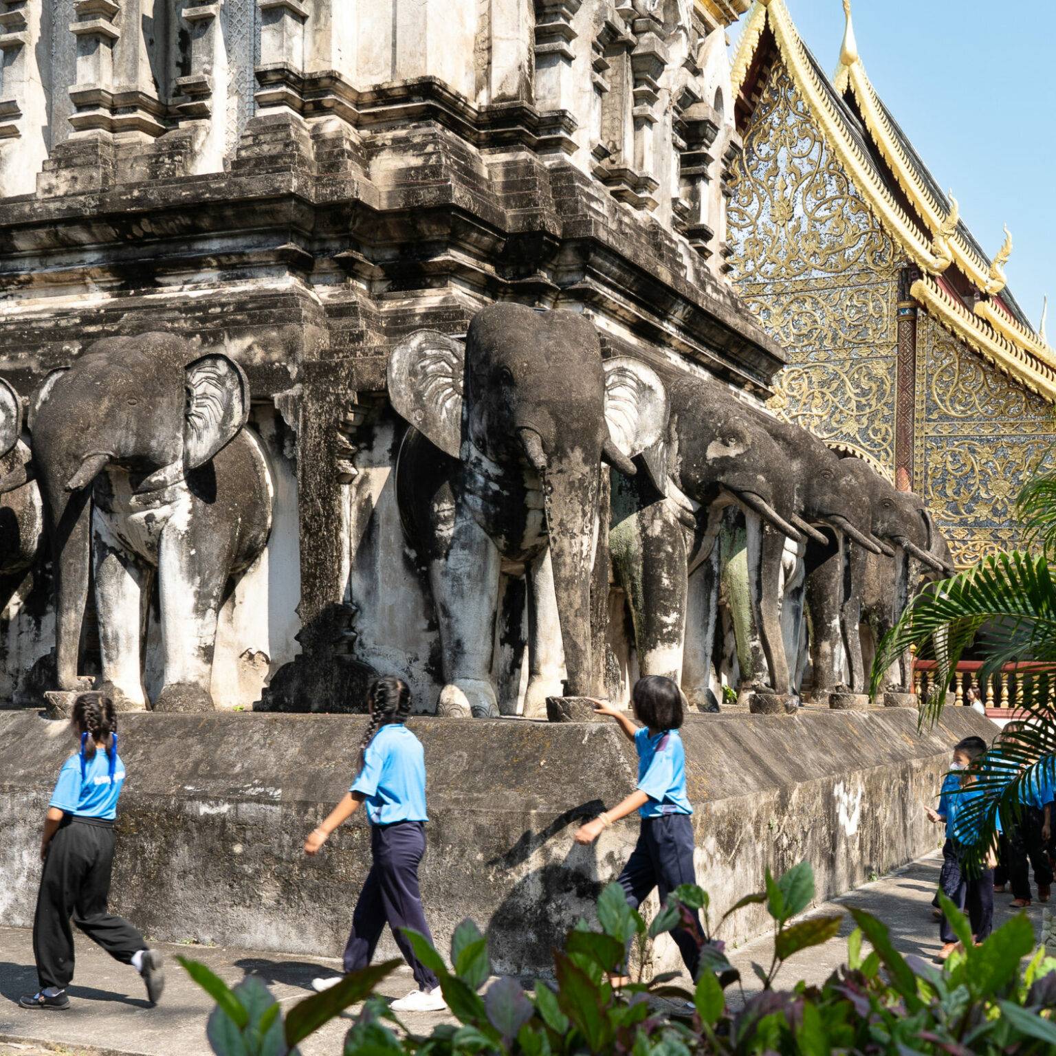 Kinder laufen um die 16 Elefanten-Statuen des Tempels Wat Chiang Man.