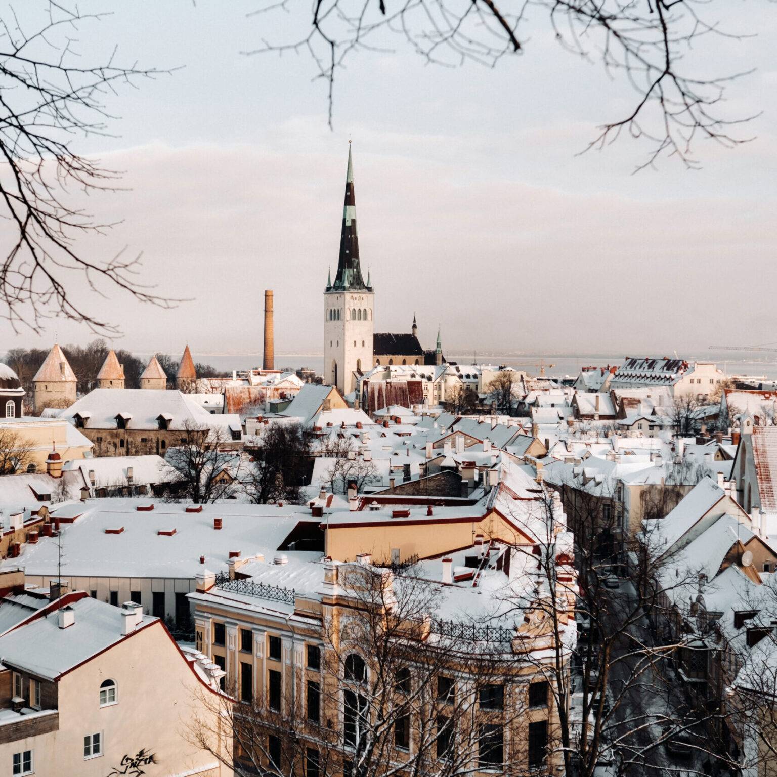 Auf den Spitzdächern von Tallinns Altstadt liegt Schnee.