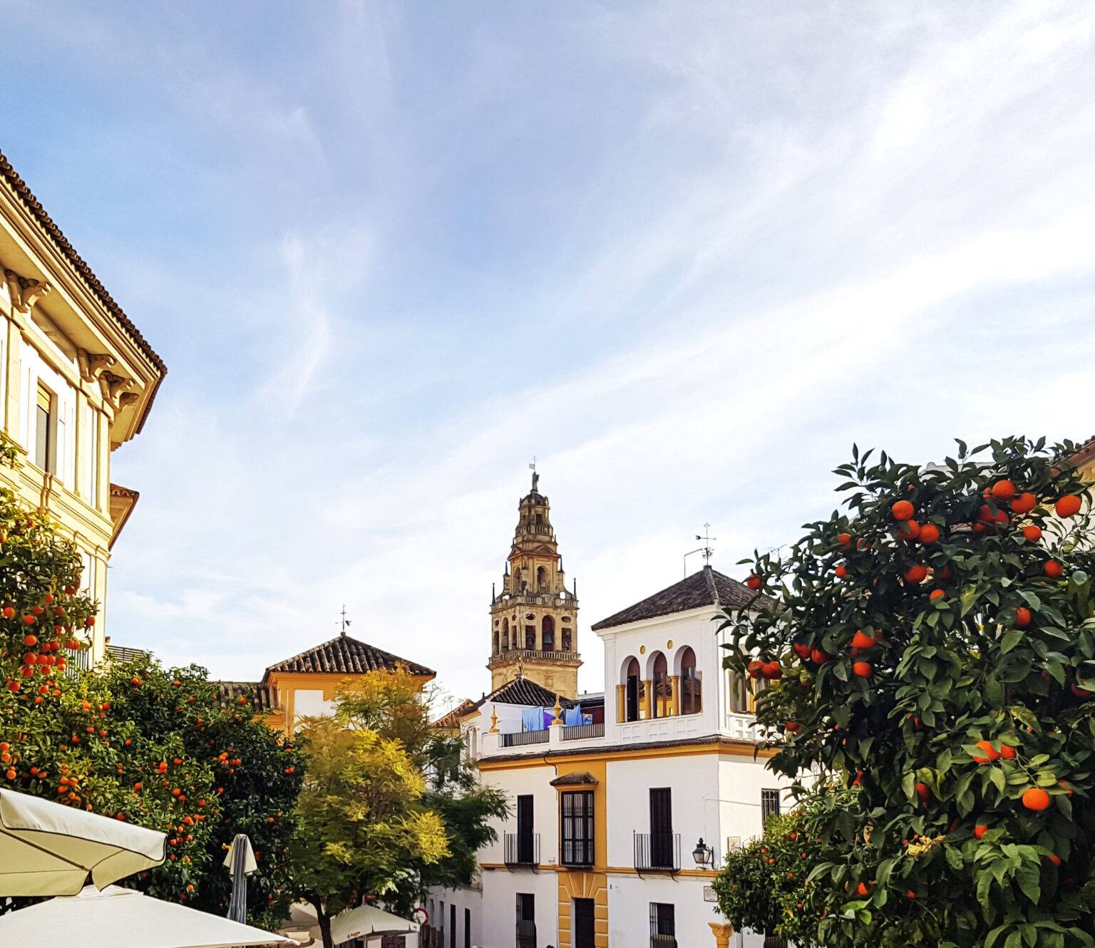Orangenbäume wachsen zwischen den historischen Häusern in Sevillas Altstadt.