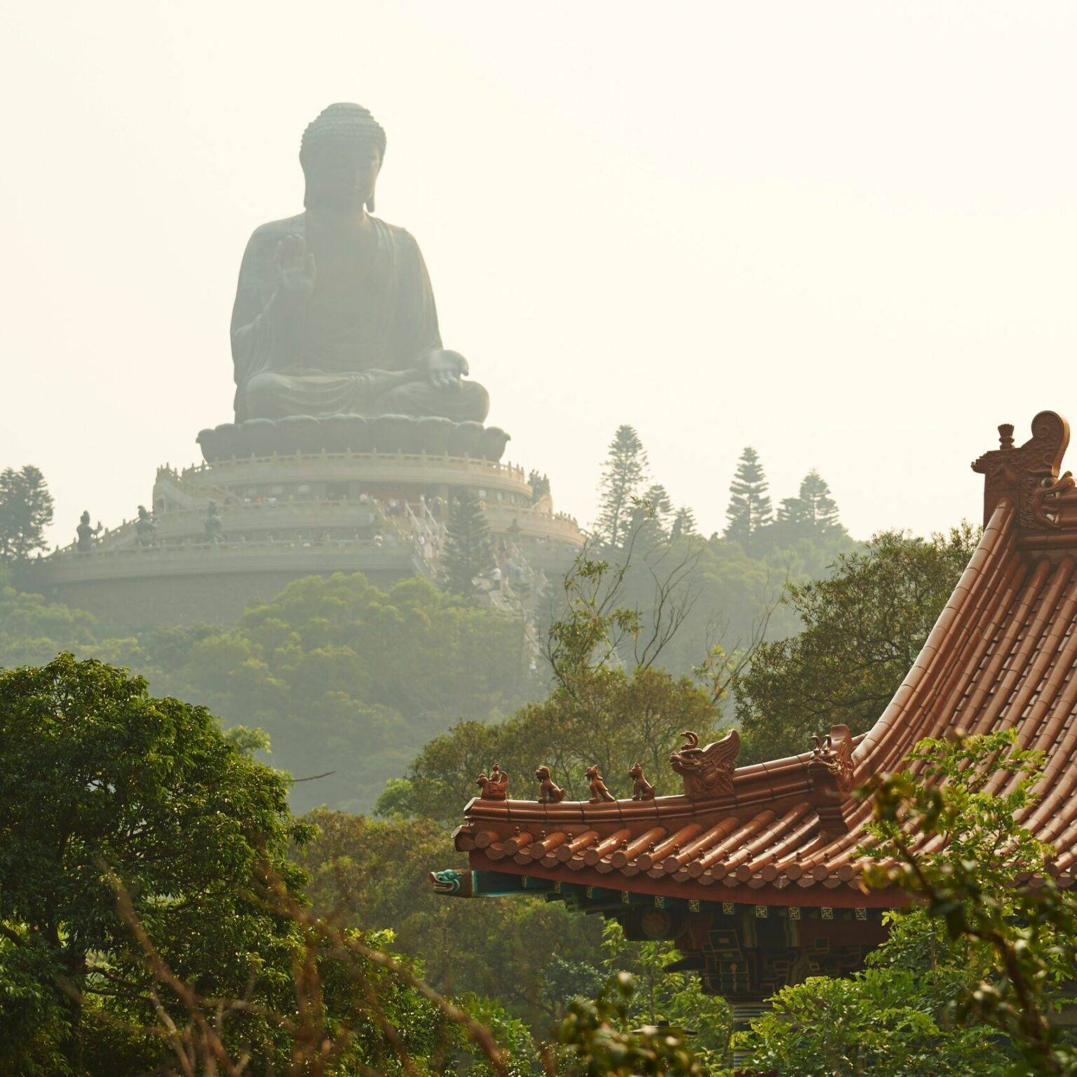 Der Tian Tan Buddah auf der Insel Lantau umgeben von grünen Bäumen und ein typisch asiatisches Hausdach im Vordergrund.