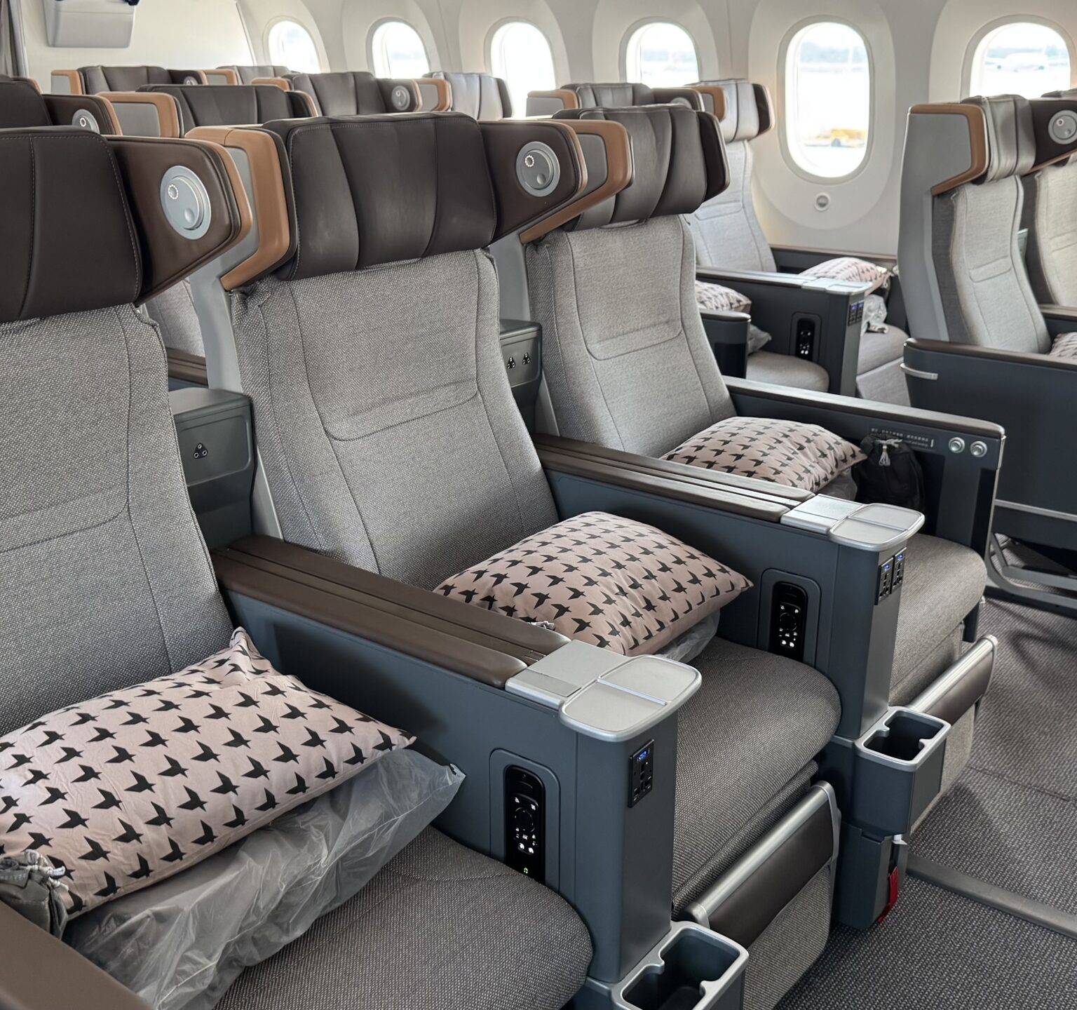 Reihe von komfortablen Flugzeugsitzen mit Kissen und Armlehnen, in einer modernen Kabine.