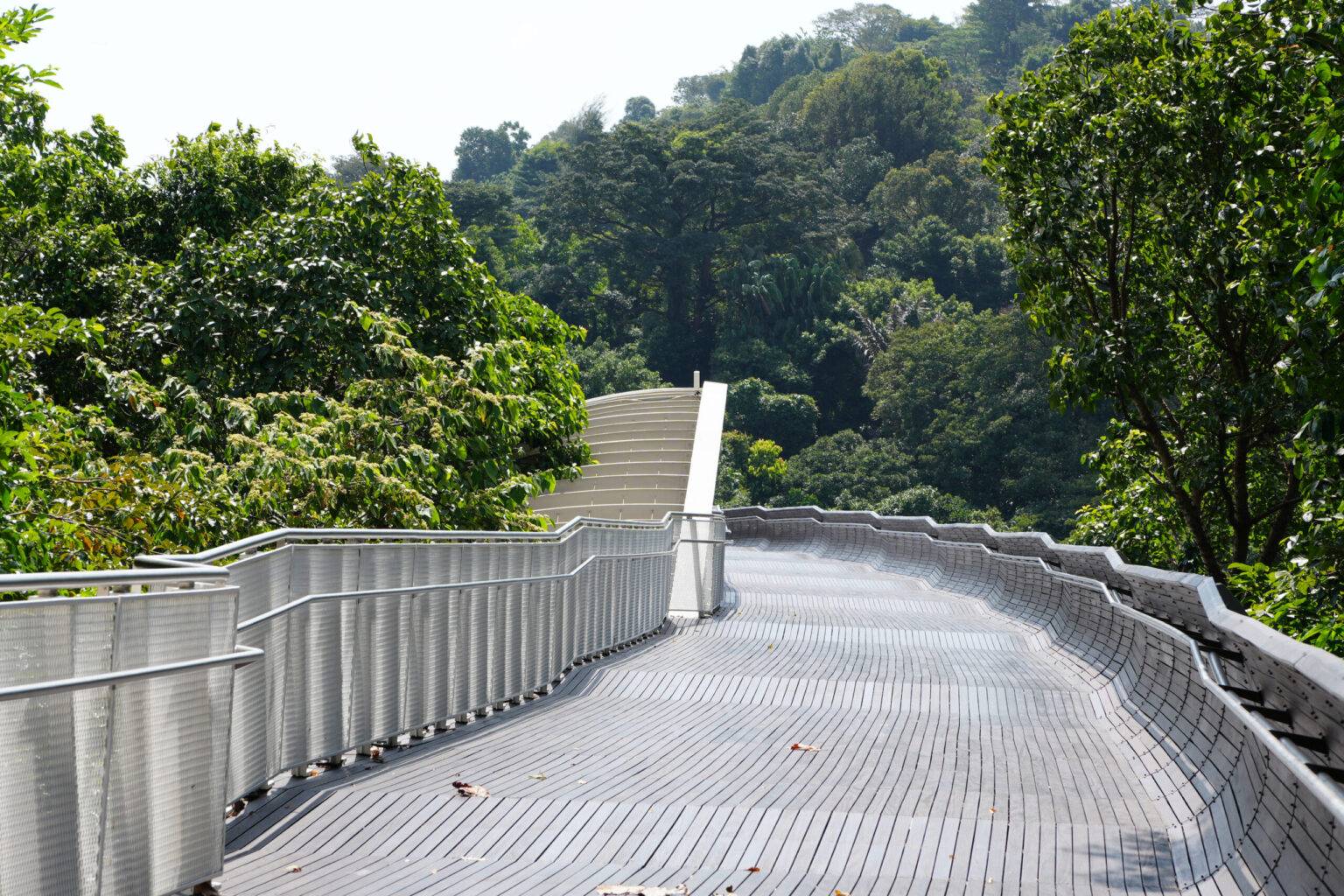 Henderson Waves Brücke in Singapur mit geschwungenem Gehweg durch tropische Vegetation