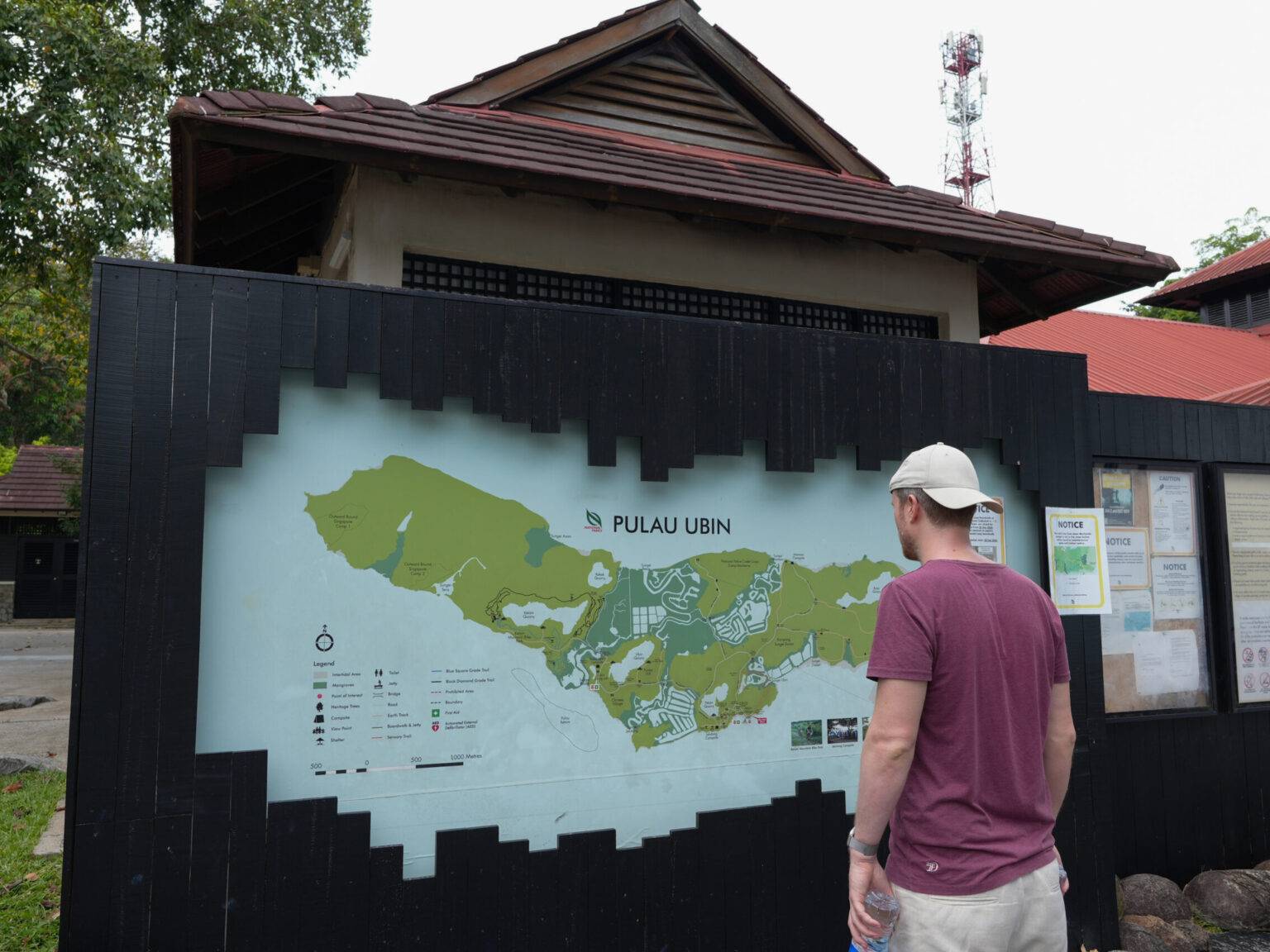 Person betrachtet eine Übersichtskarte von Pulau Ubin an einer Infotafel