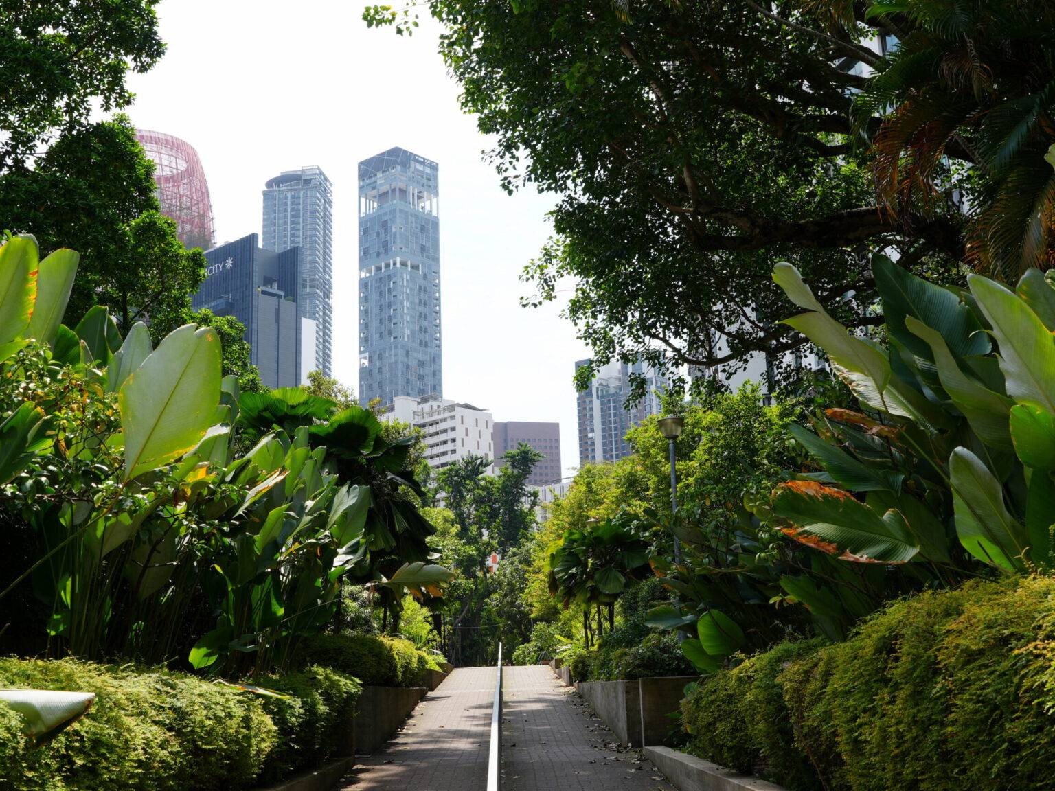 Grüner Parkweg mit üppiger Vegetation, umgeben von modernen Wolkenkratzern im Hintergrund.