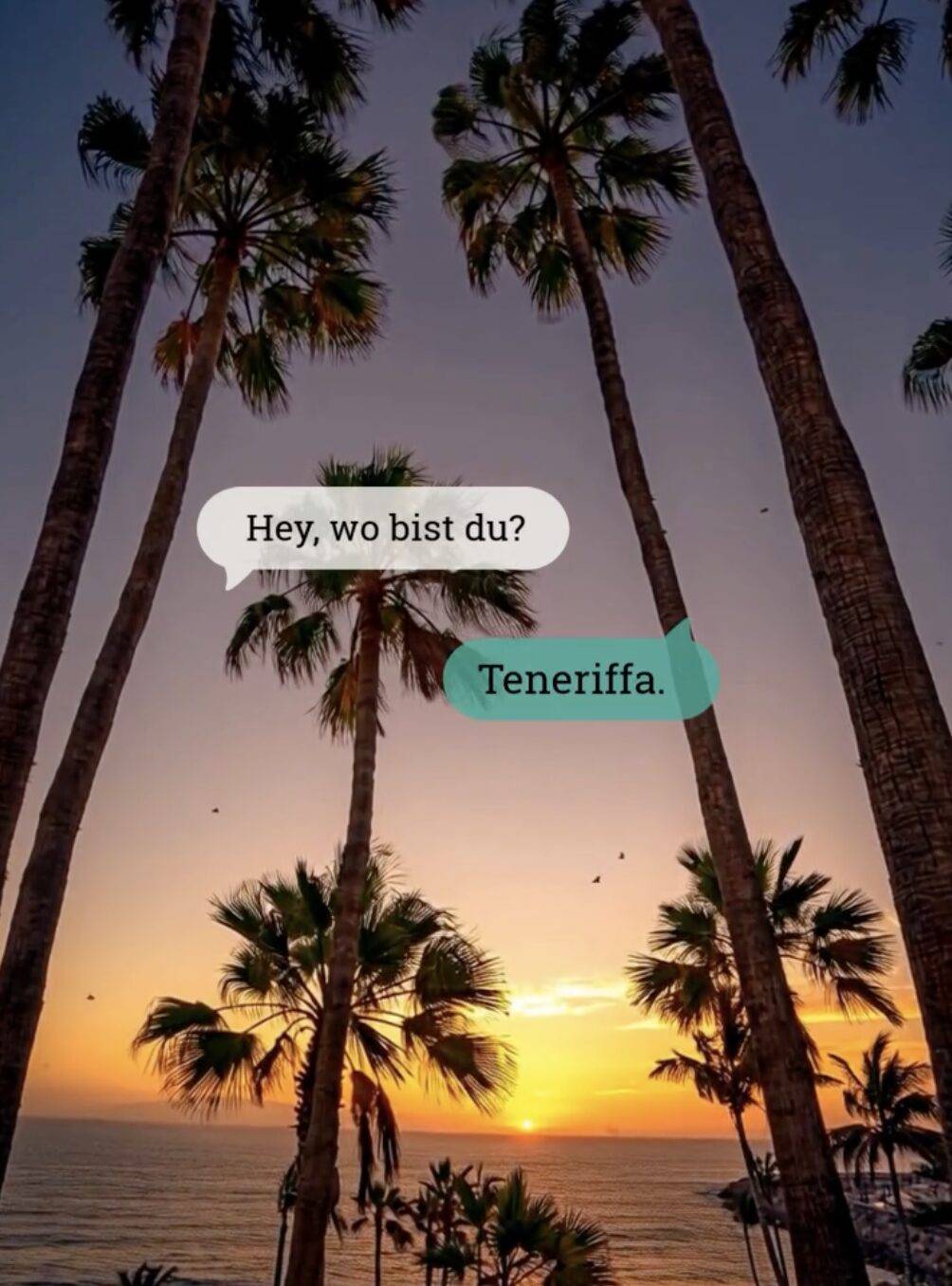 Instagram Reel - Die 5 schönsten Orte & Aktivitäten auf Teneriffa