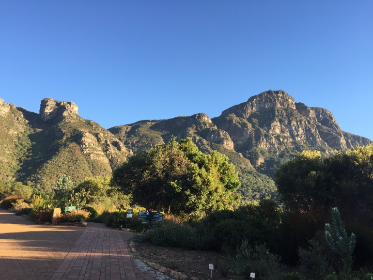 Um eine Wanderung auf den Tafelberg zu starten eignet sich Kirstenbosch Gardens hervorragend.