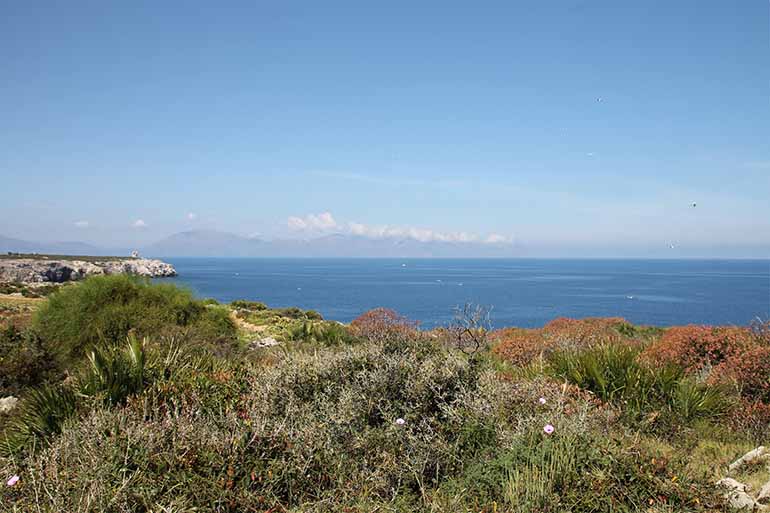 Der Blick über das felsige Kap Capo Rama gibt den Blick frei auf Kakteen, Büsche und das Meer.