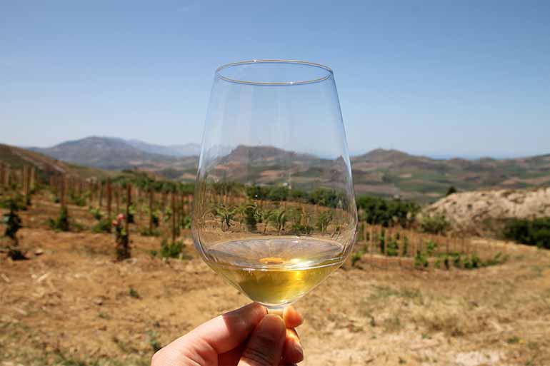 Ein Glas gefüllt mit Weißwein vor der Kulisse eines Weingutes in Palermo.
