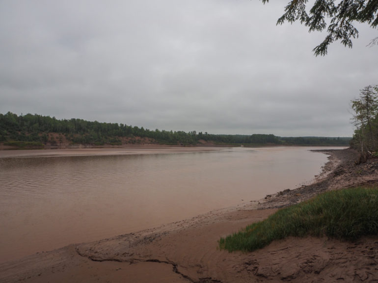 Braunes, lehmiges Wasser fließt entlang des Grand Shubenacadie River.