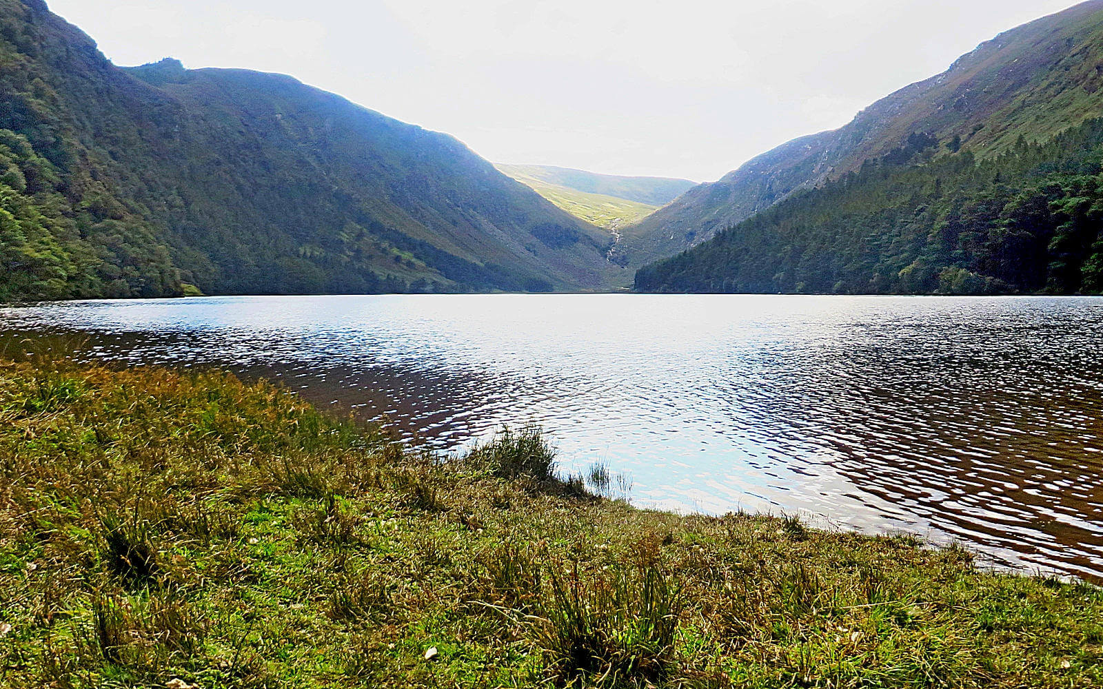 Hinter einem See türmen sich die grünbewachsenen Berge der Wicklow Mountains in Irland.