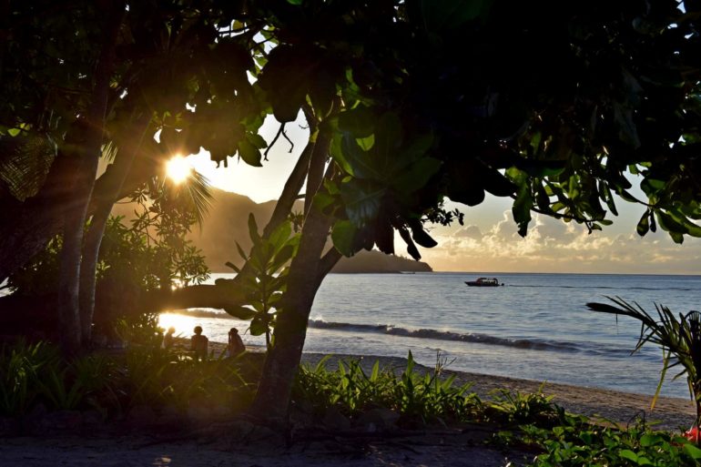 Bei Mahe auf den Seychellen geht zwischen Palmen am Stand von Beau Vallon die Sonne unter.