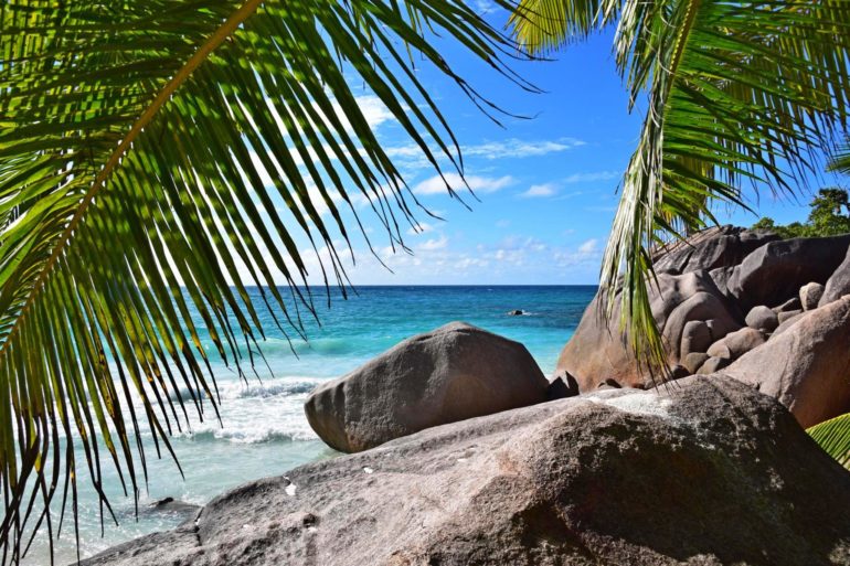 Zwischen Palmenblätter und Granitfelsen ist der Blick auf das azurblaue Meer am Strand von Praslin zu sehen.