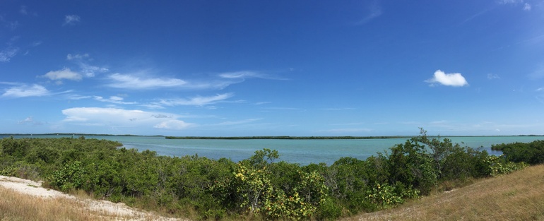 Der idyllische Blick auf das Meer von Key West bei wolkenlosem Himmel.